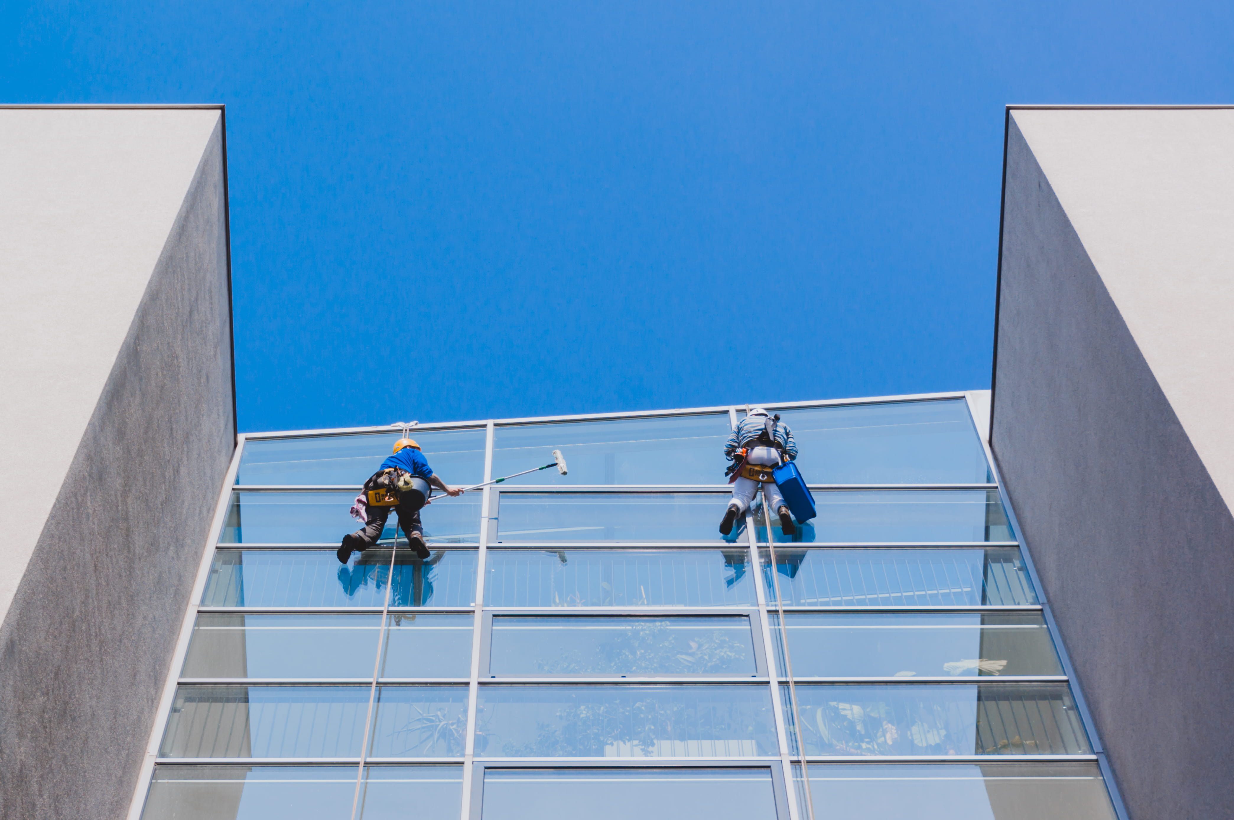 nature, two people, city, occupation, real people, built structure, outdoors, working, 4K, glass, building exterior, cleaning, clear sky, men, blue, low angle view, HD Wallpaper