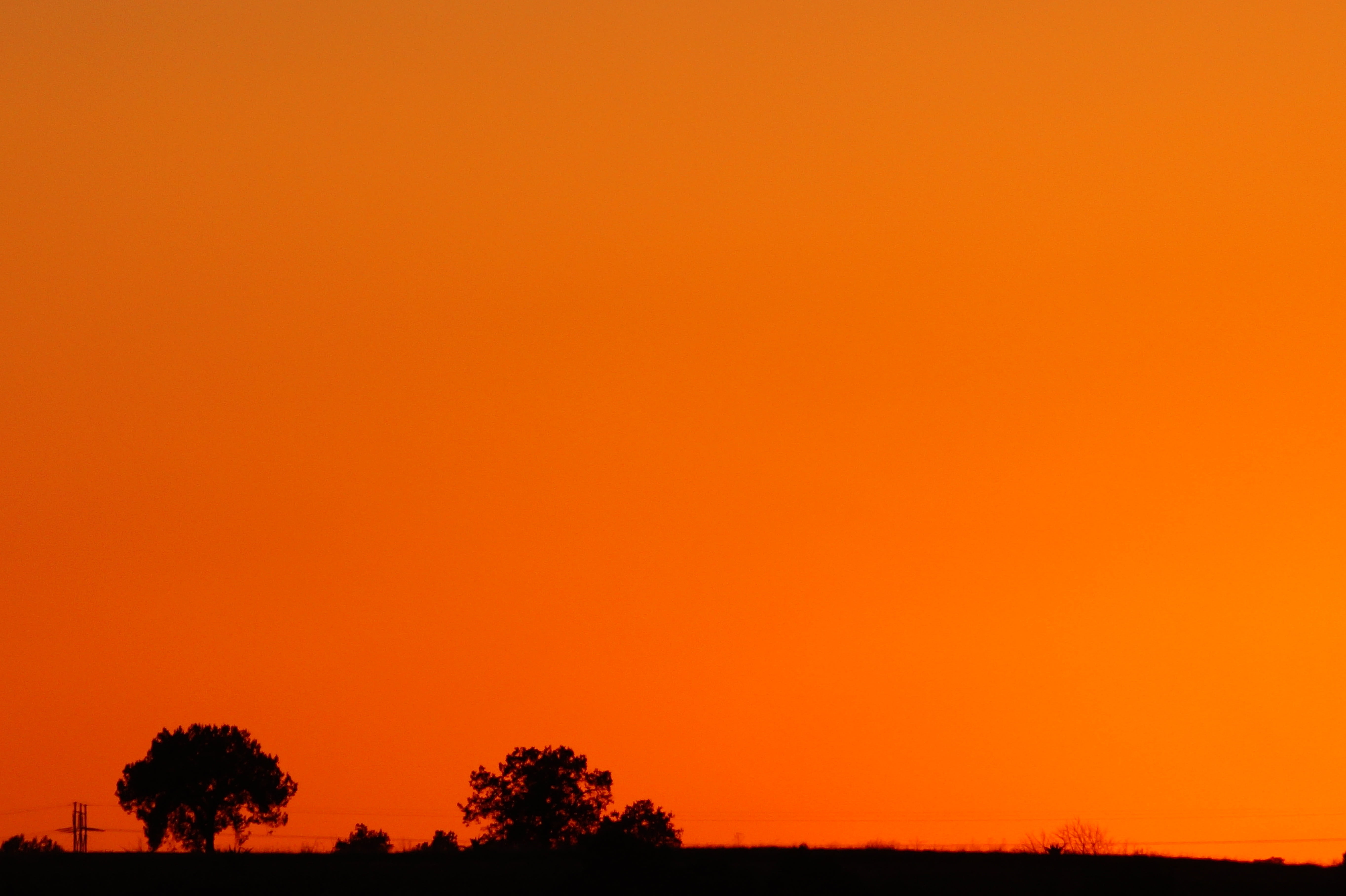 tranquility, scenics - nature, outdoors, sunset, against light, tlaxcala, idyllic, tranquil scene, orange, no people, 5K, tree, dusk, nature, growth, mexico, HD Wallpaper