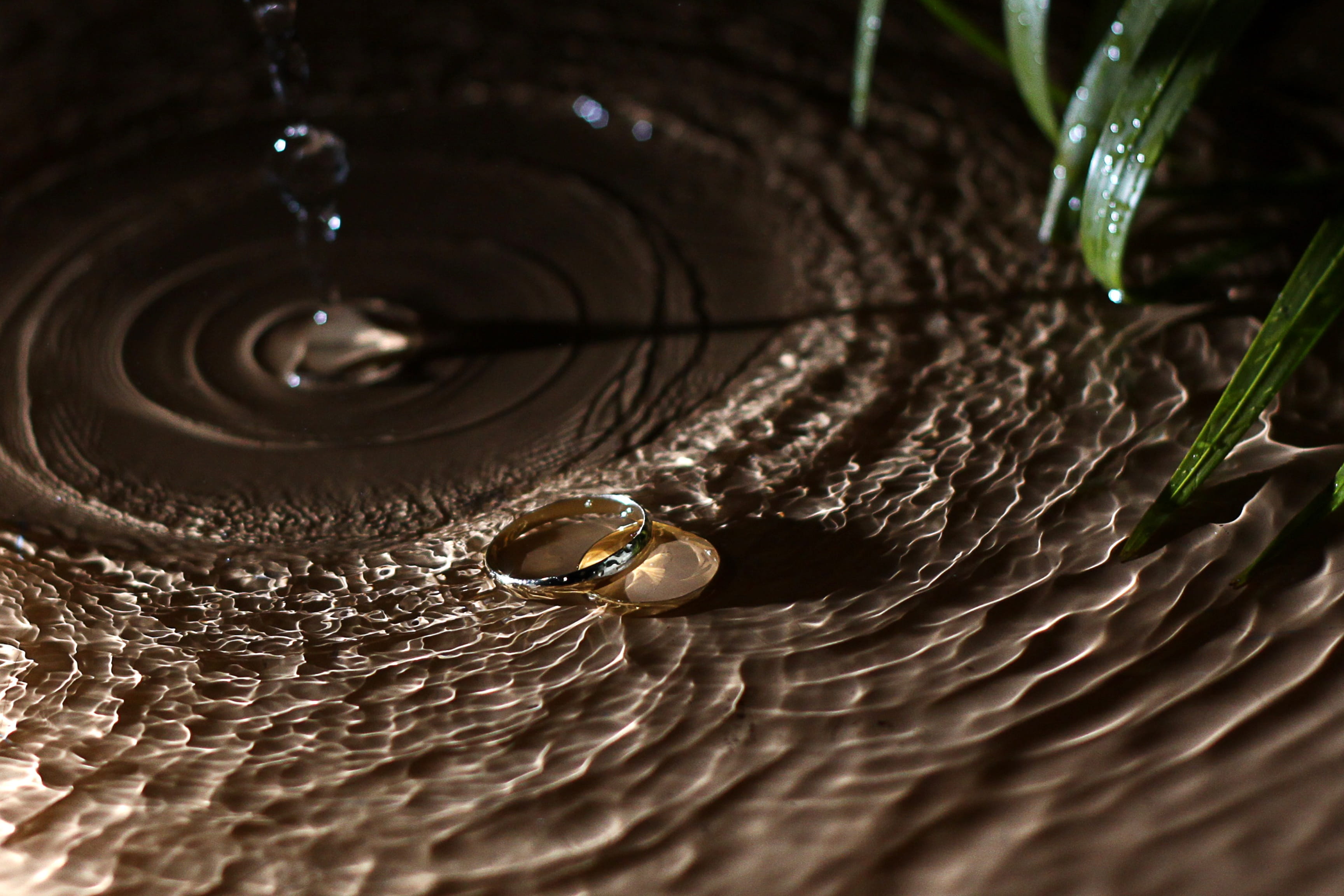 selective focus, full frame, drop, close-up, water, wedding ring, rain, green leaves, luxury, love, freshness, backgrounds, pattern, dew, Light, marriage, HD Wallpaper