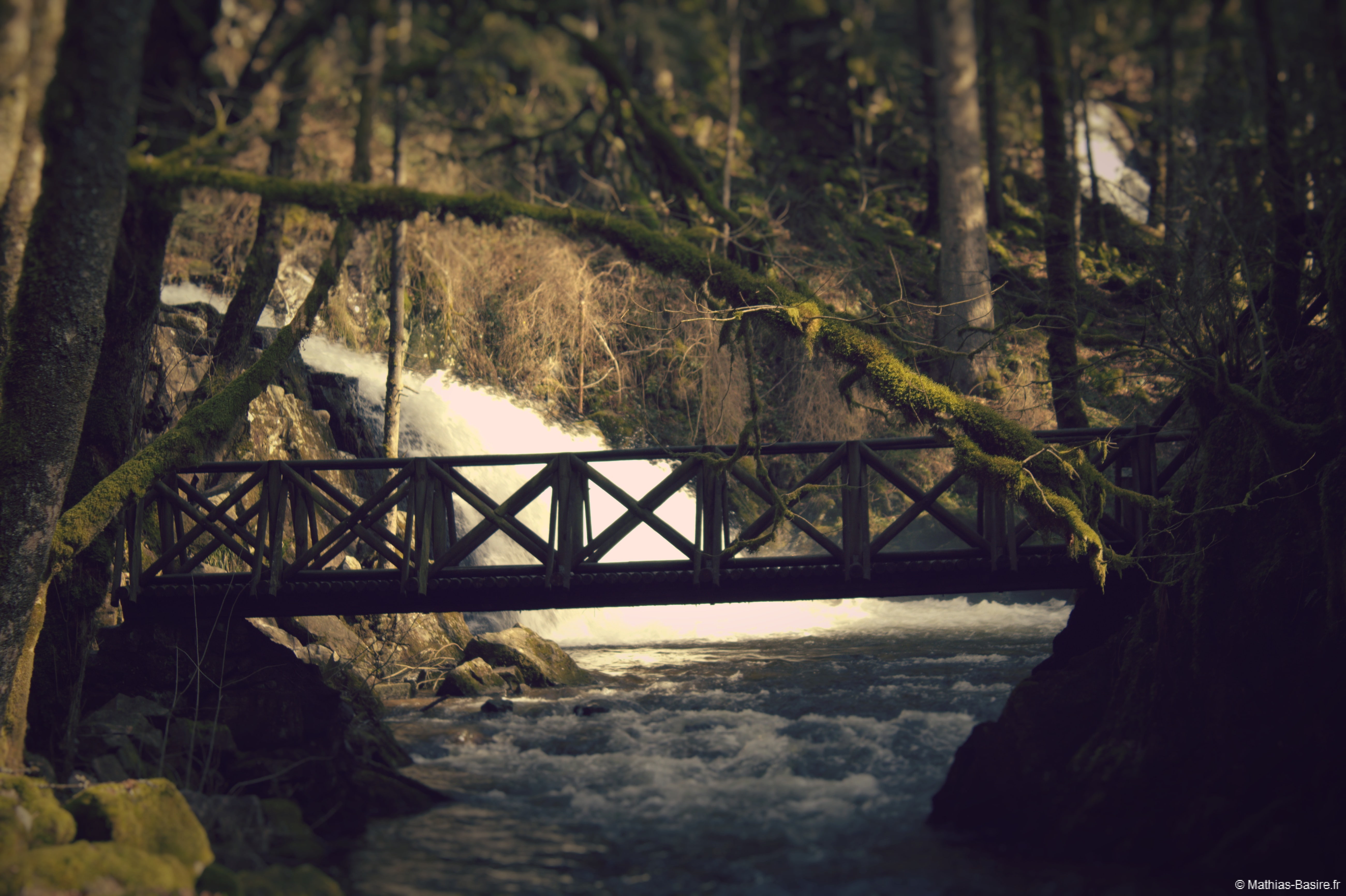 Vosges, 5K, France, landscape, water, outdoors, HD Wallpaper