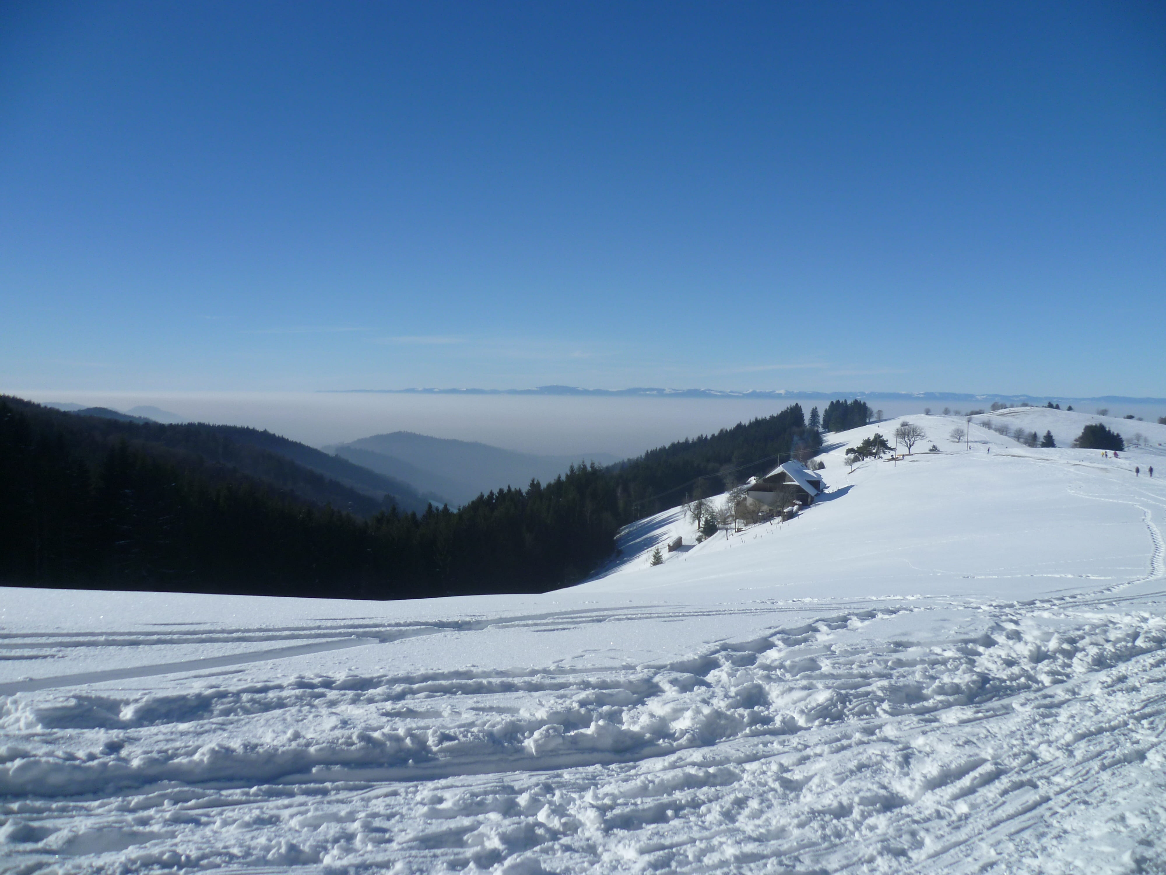landscape, blue, copy space, clear sky, land, tranquility, cold temperature, non-urban scene, mountains, scenics - nature, mountain, sky, tree, black forest, HD Wallpaper