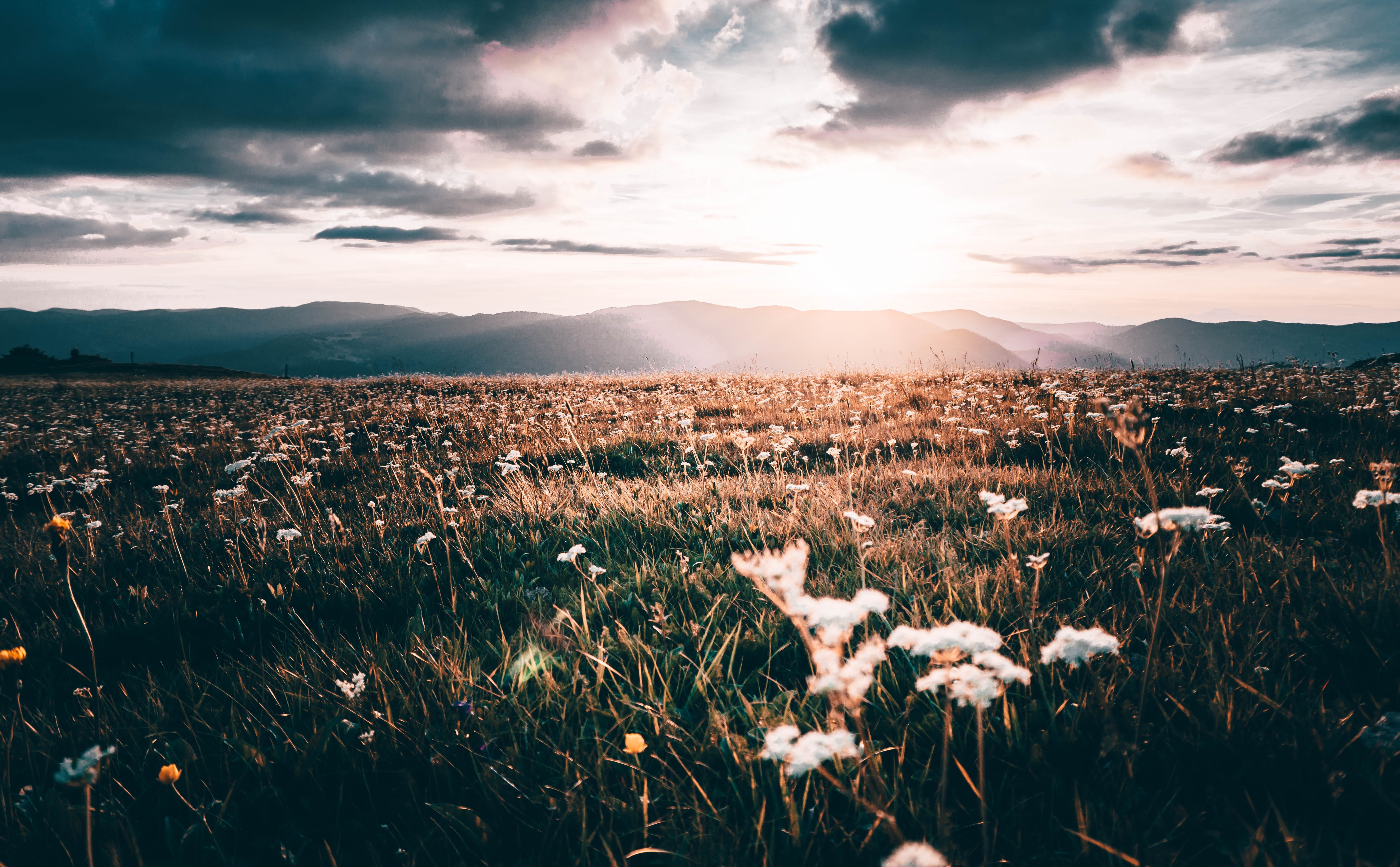 tranquil scene, scenics - nature, autumn, sky, no people, clouds, forest, twilight, nature, environment, sunset, highlands, beauty in nature, green, summer, HD Wallpaper