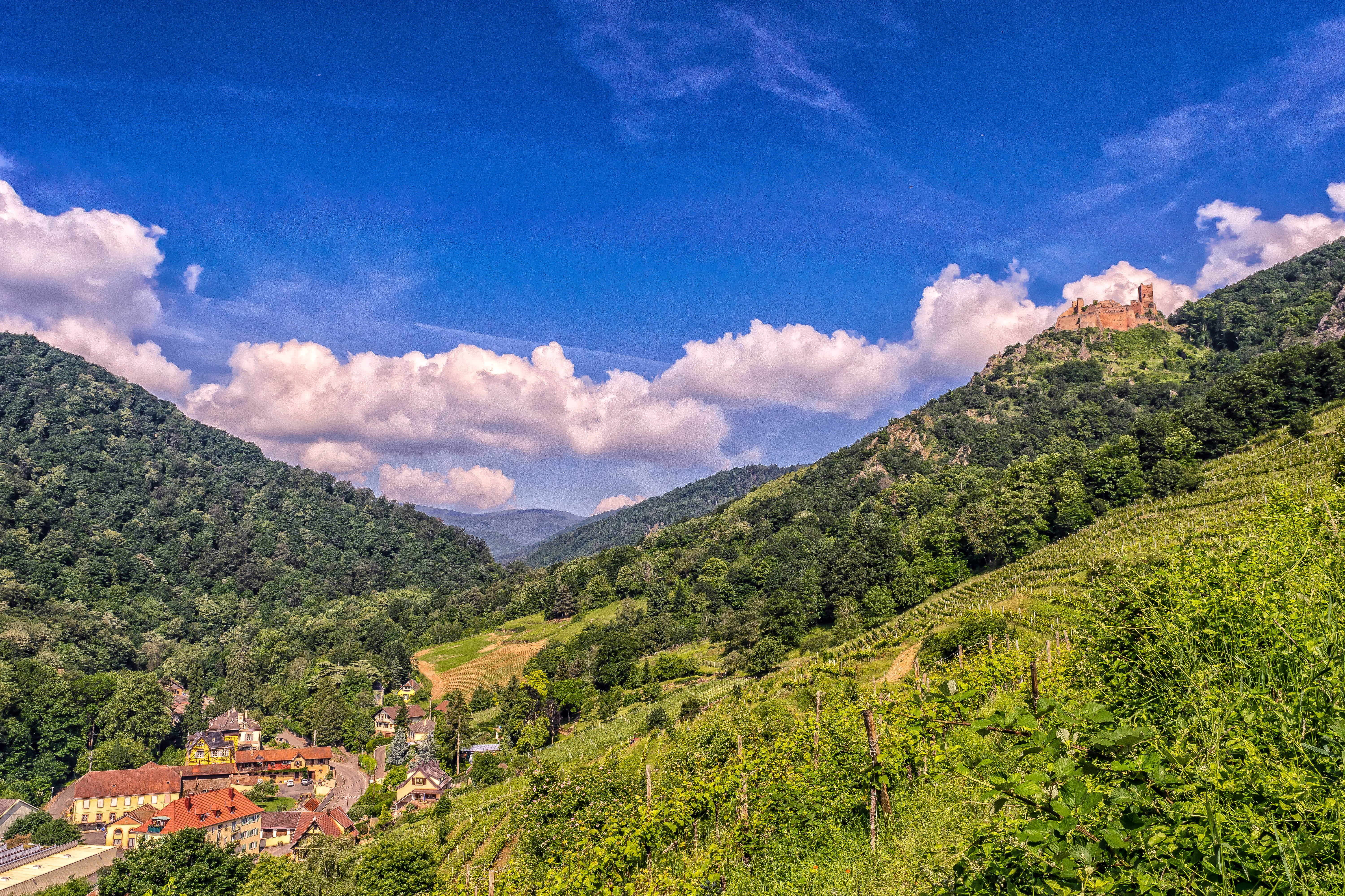 building, day, mountains, tranquil scene, mountain range, green, tree, building exterior, environment, sky, nature, cloud - sky, vosges, landscape, plantation, HD Wallpaper