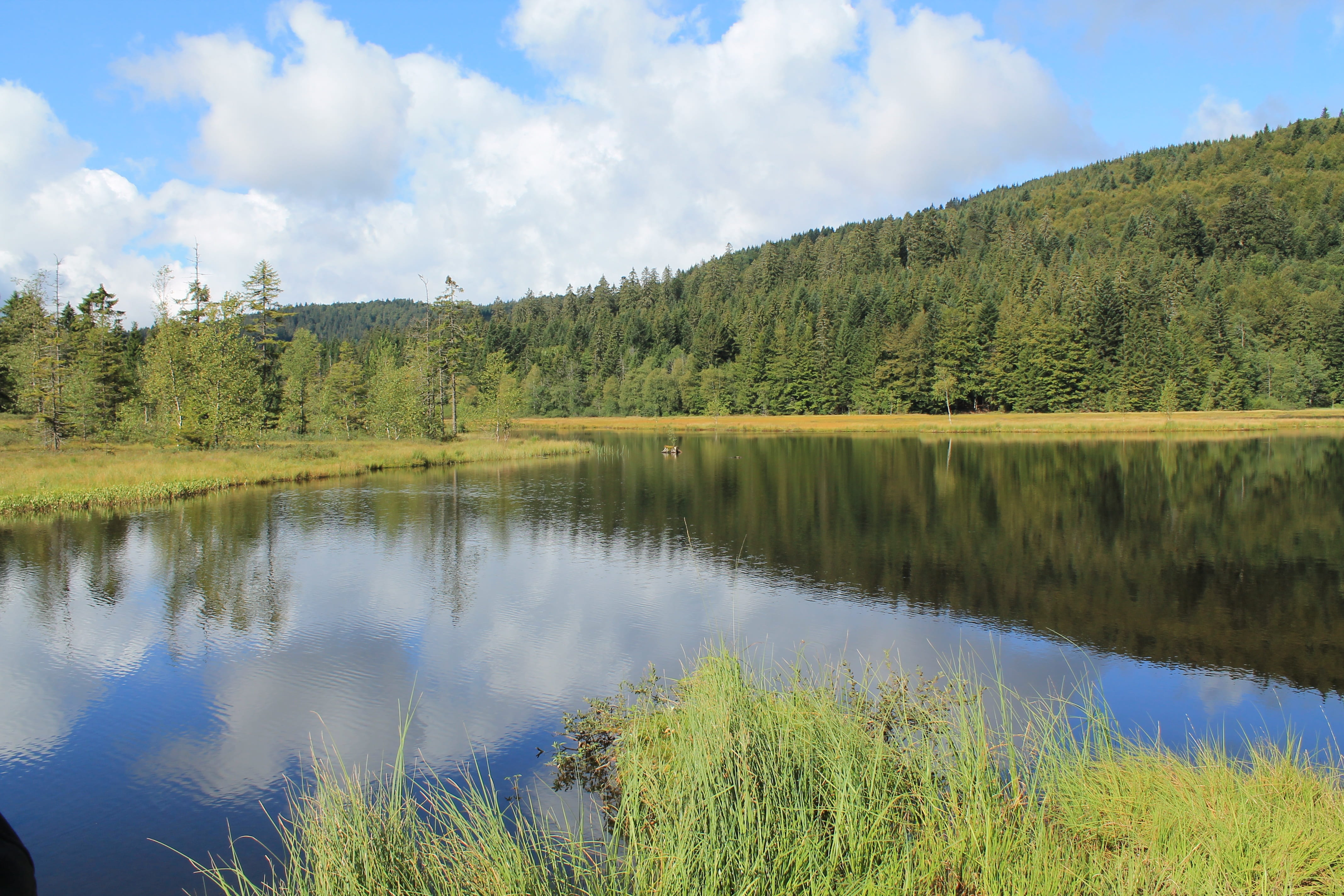 Lake, mountain, blue, Mirroring, hill, beautiful, non-urban scene, coniferous tree, reflection lake, alsace, quiet, beauty in nature, no people, plant, HD Wallpaper