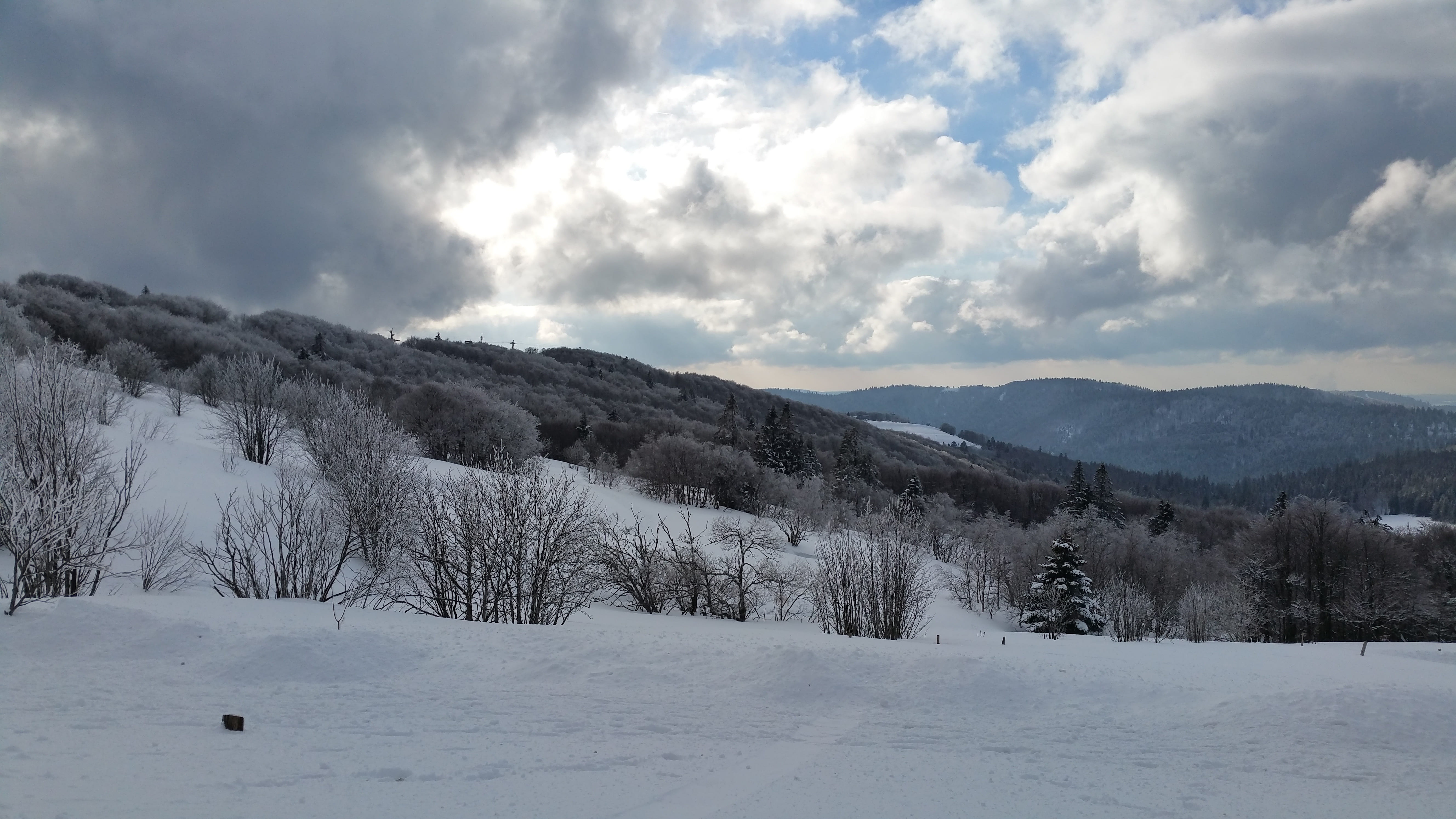 scenics - nature, snowcapped mountain, environment, vosges, snow, white color, tranquil scene, 5K, sky, day, non-urban scene, coniferous tree, winter, HD Wallpaper