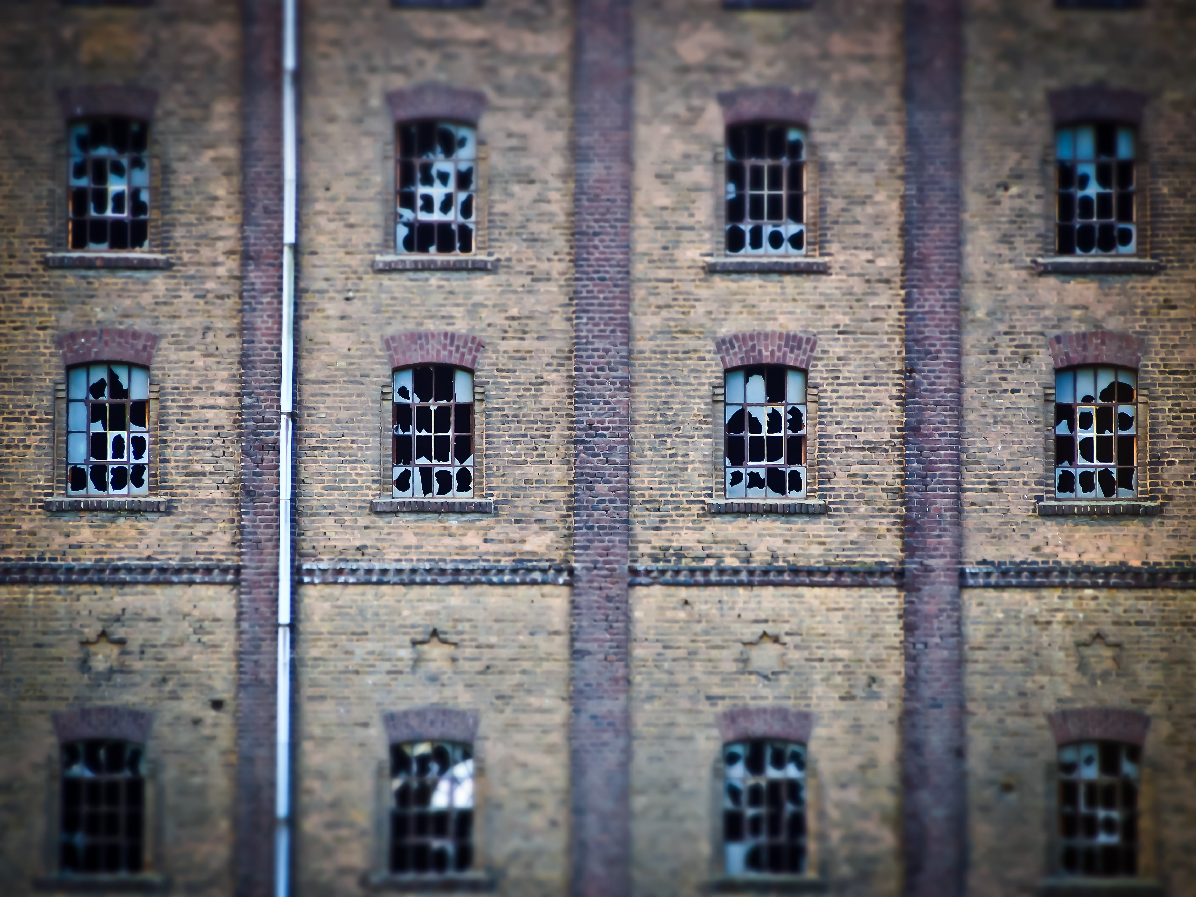 architecture, industry, reflection, 4K, wall, in a row, ruin, old, brick, built Structure, window, outdoors, decay, wall - building feature, backgrounds, HD Wallpaper