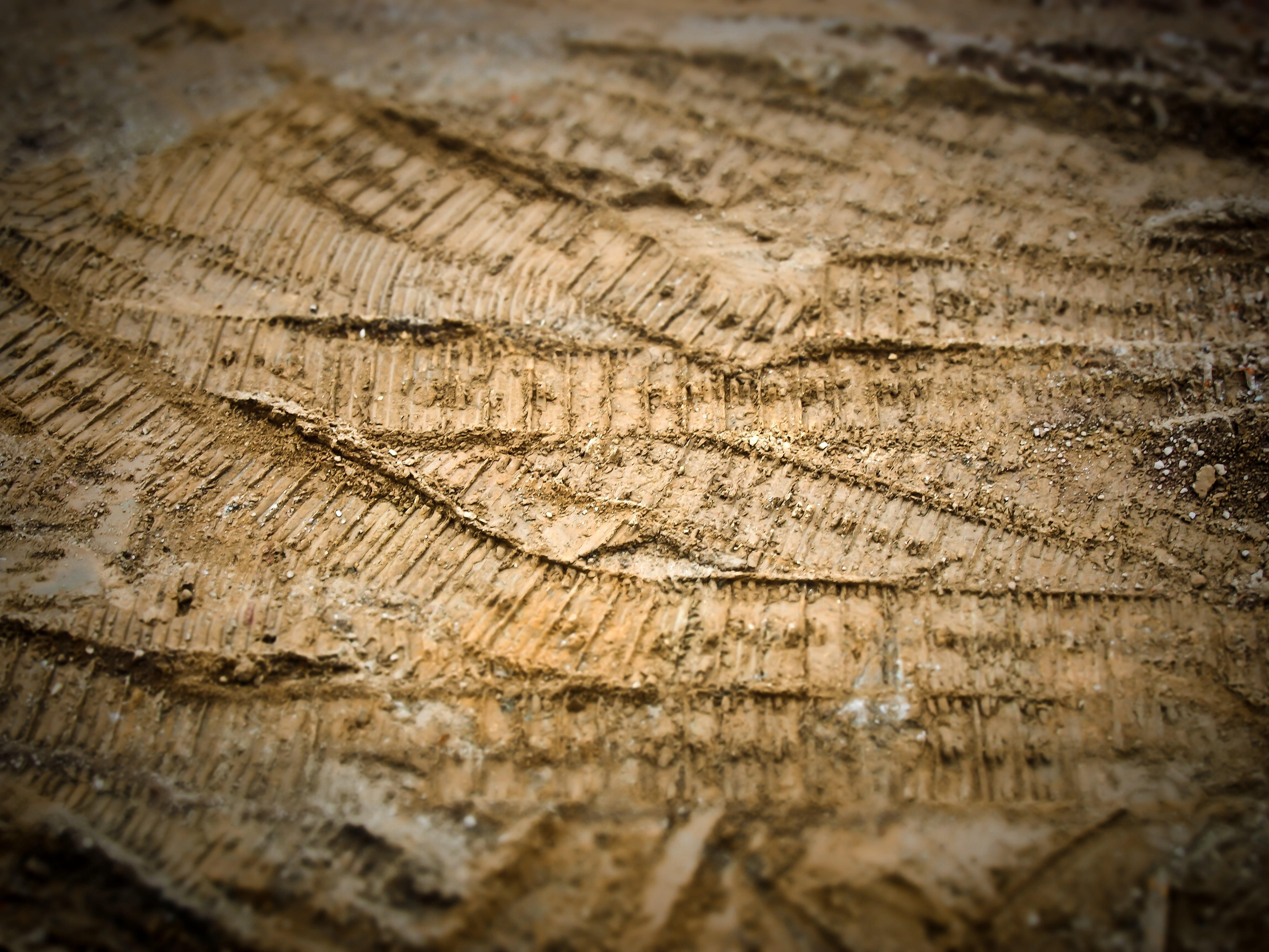 log, textured, site, miniature effect, wood, day, sand, bark, tree ring, backgrounds, nature, pattern, no people, traces, design, selective focus, rough, HD Wallpaper