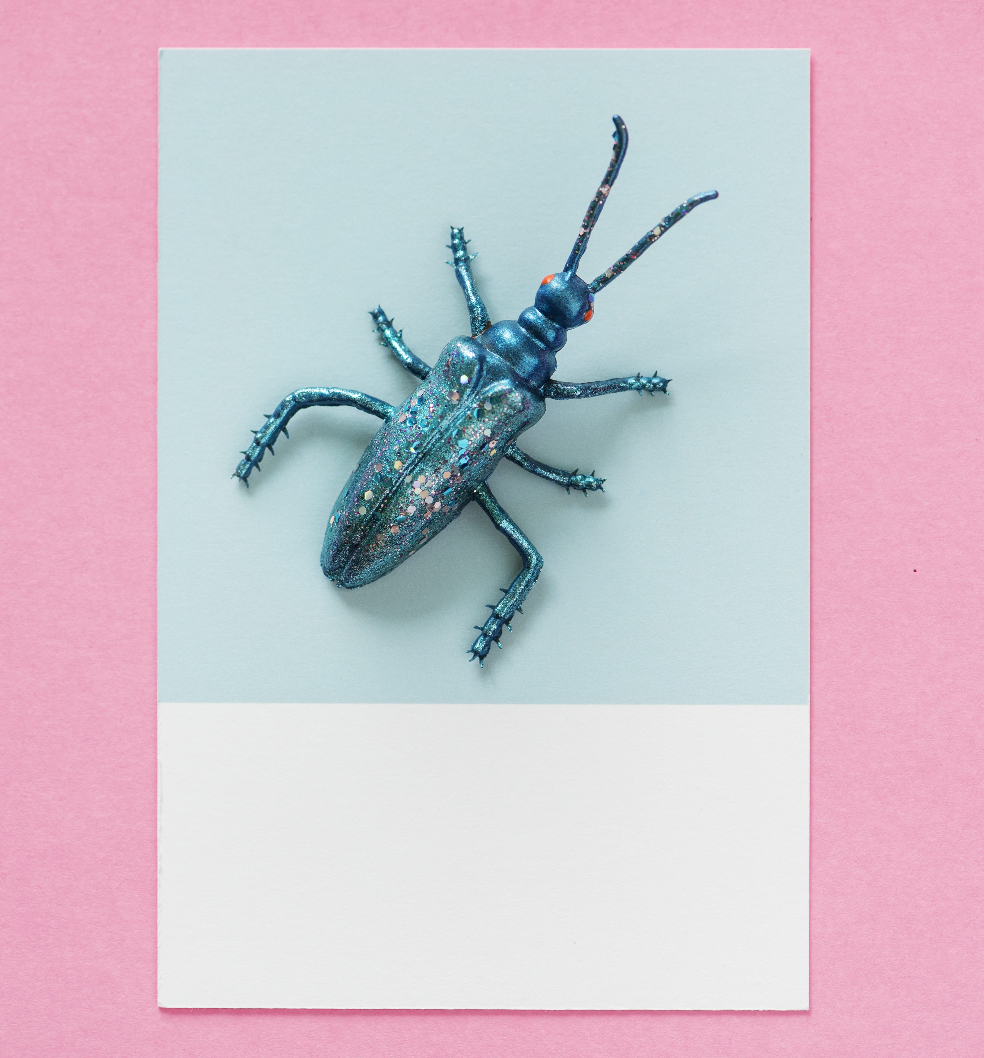 festive, miniature, pink color, reptile, glow, background, glitter, no people, insect, fun, invertebrate, decoration, design, bug, 2K, abstract, animal, Phone HD Wallpaper