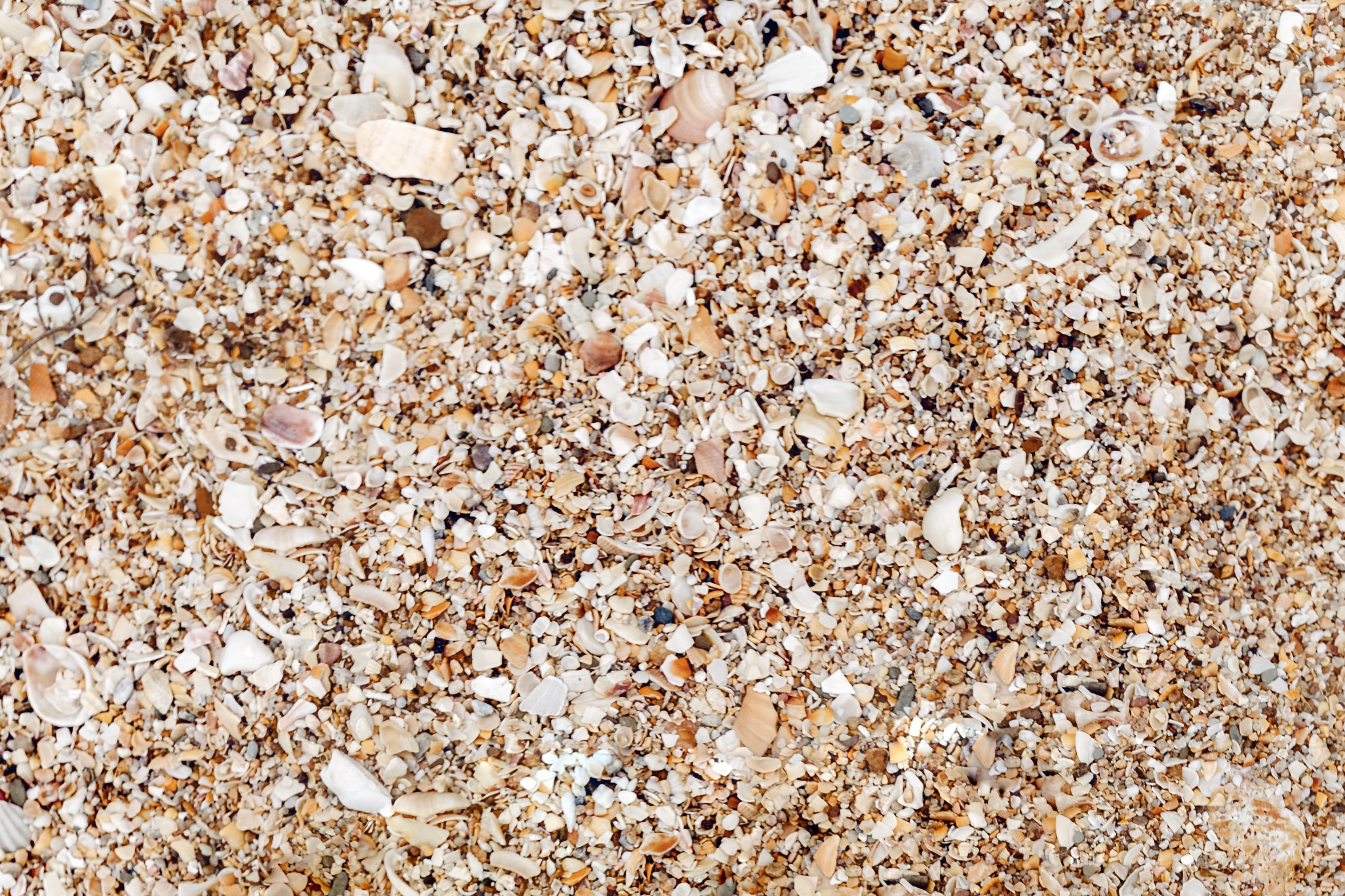 stone - object, interior, effect, full frame, design, shell, backgrounds, directly above, abundance, pattern, blank, wellbeing, pebble, land, design space, HD Wallpaper