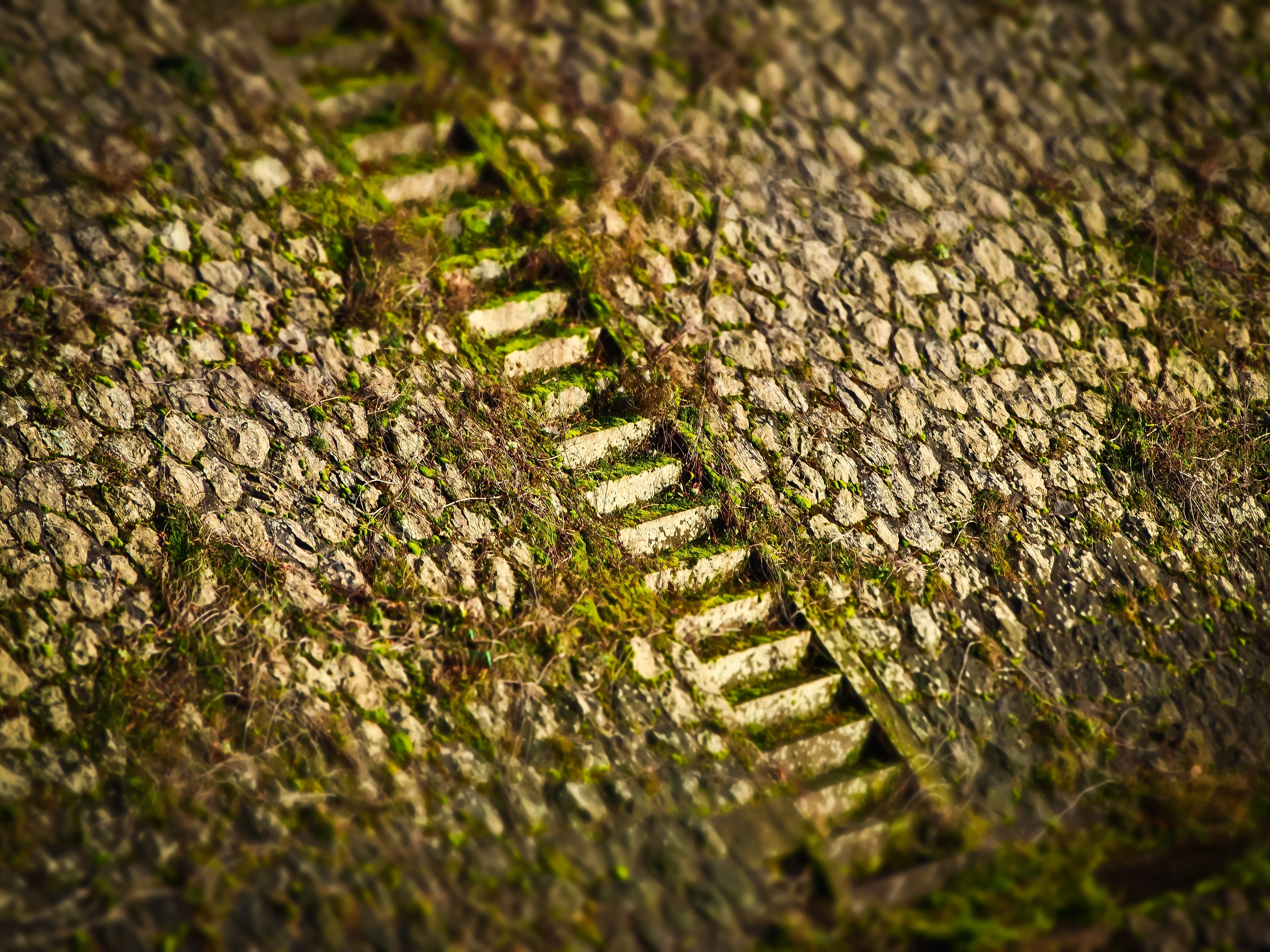 tilt shift, surface level, staircase, day, solid, pattern, moss, plant, miniature effect, bank, full frame, selective focus, textured, 4K, stairs, no people, HD Wallpaper