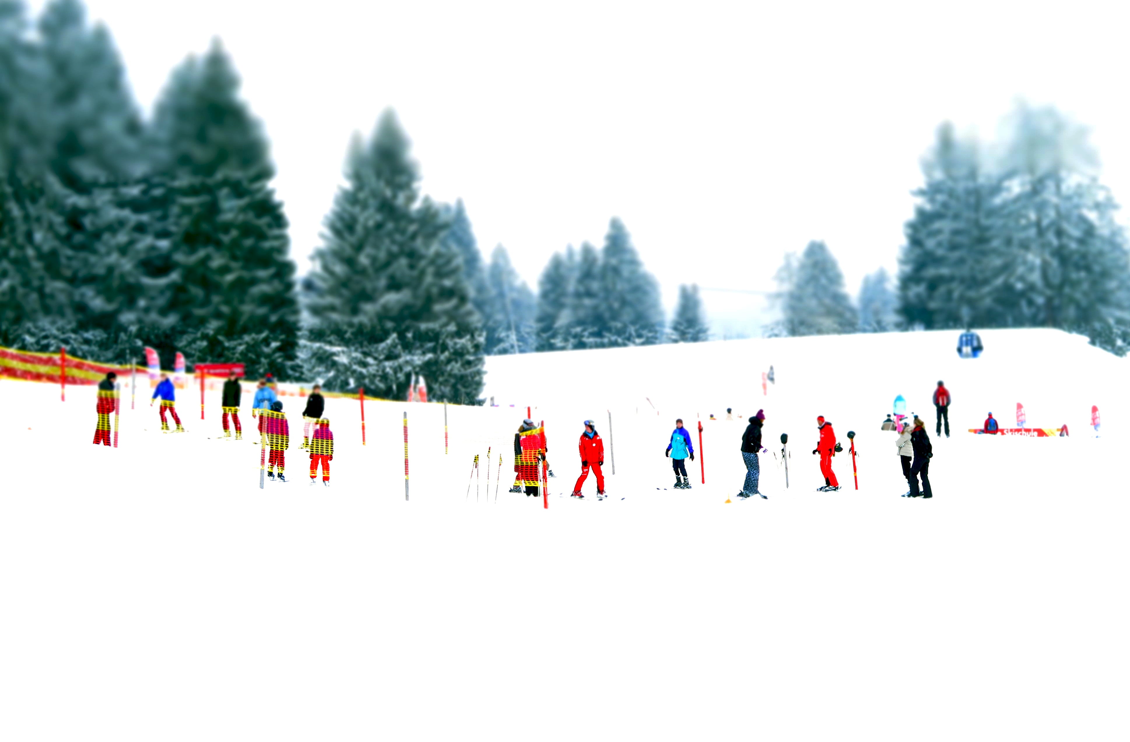 ski school, real people, firs, day, snow, 4K, wintry, clothing, winter, skiing, lift, crowd, alpine, land, sport, mountains, large group of people, miniature effect, HD Wallpaper
