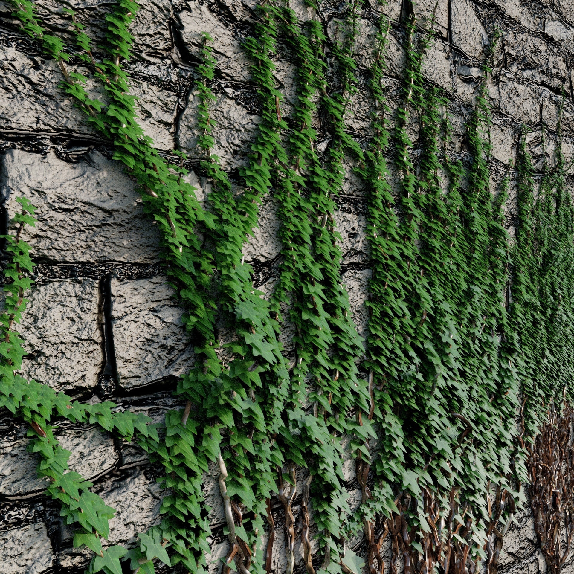Wall, built structure, Plant, tree trunk, green color, textured, plants, growth, 1080P, no people, backgrounds, Brambles, architecture, trunk, stone wall, Phone HD Wallpaper