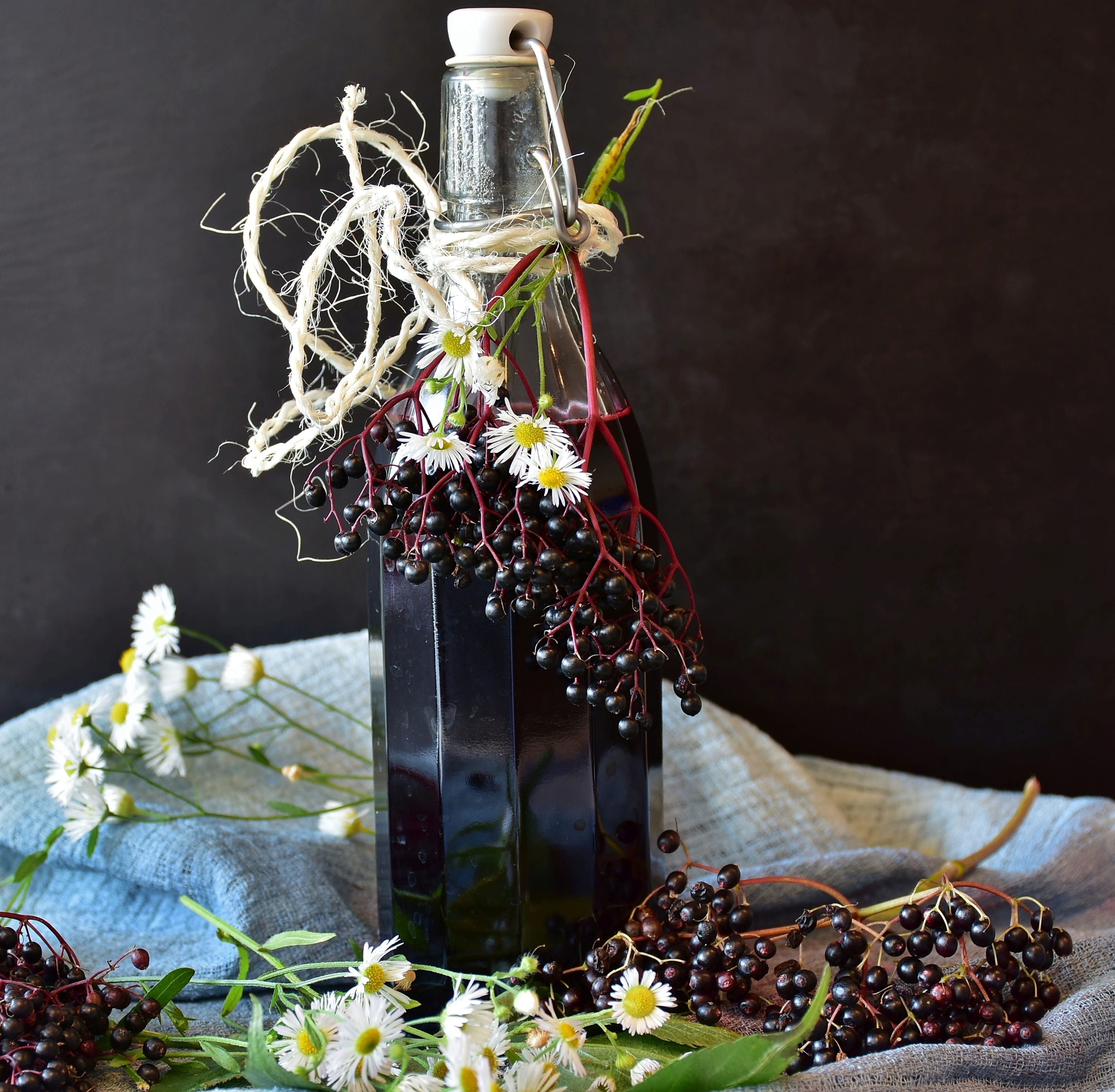 fruits, black elderberry, food and drink, container, cure, still life, jar, 4K, sambucus, holder, bush, fruit, flower, holder bush, nature, plant, kernobstgewaechs, HD Wallpaper