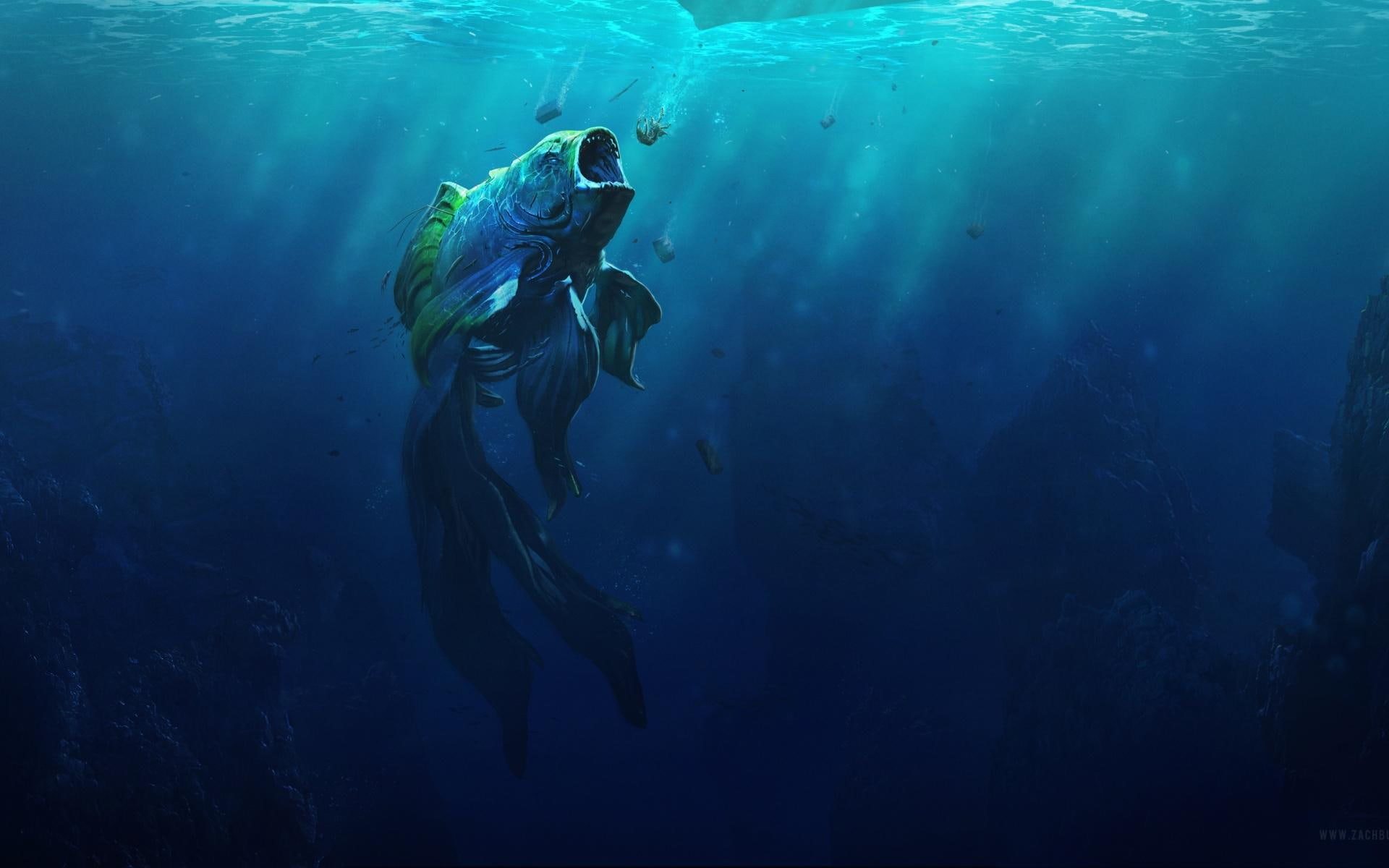 piranha, goldfish, 1080P, HD Wallpaper