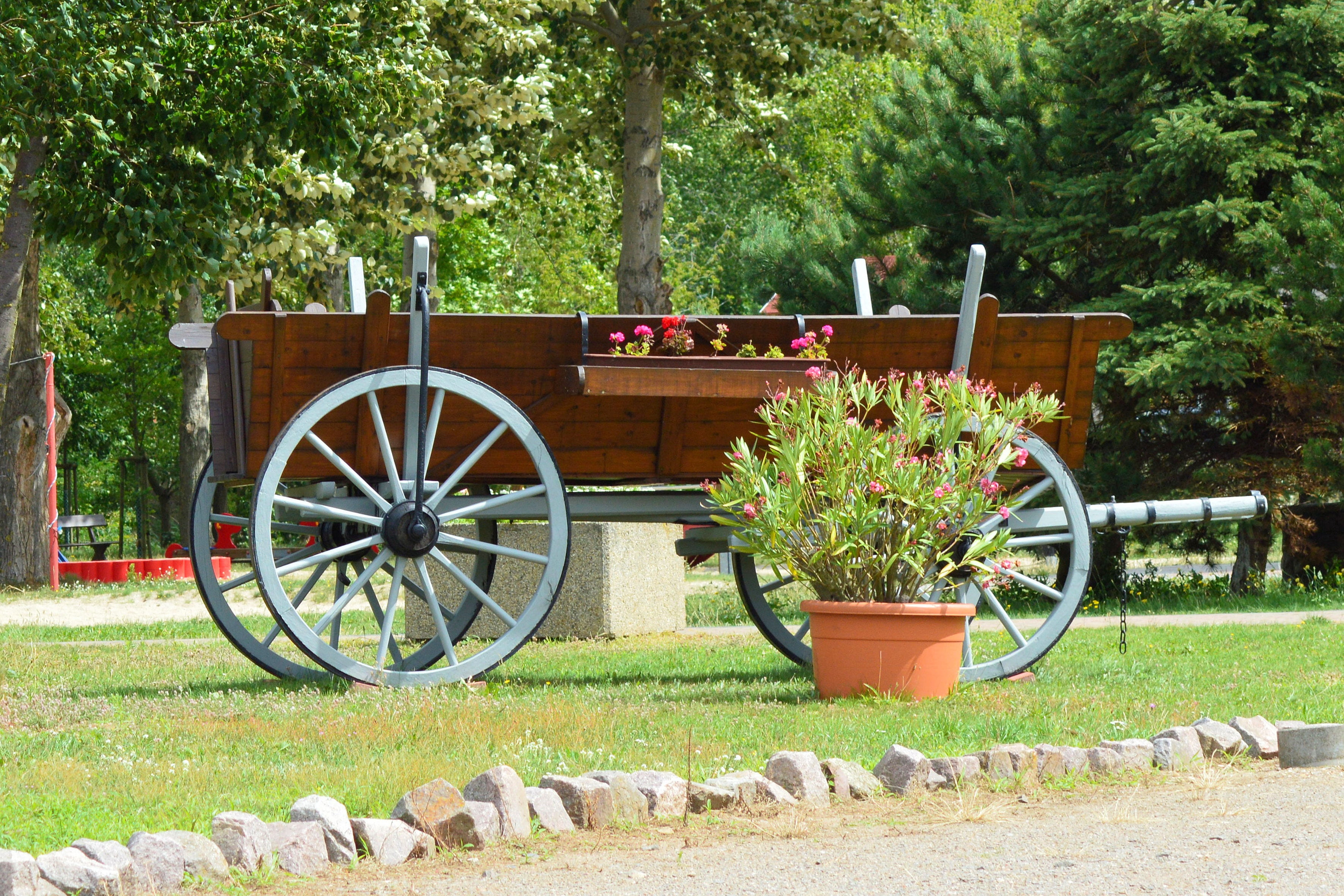 green color, tree, historically, cart, outdoors, built structure, growth, front or back yard, grass, old, gardening, prettin, 2K, wood - material, flower, HD Wallpaper