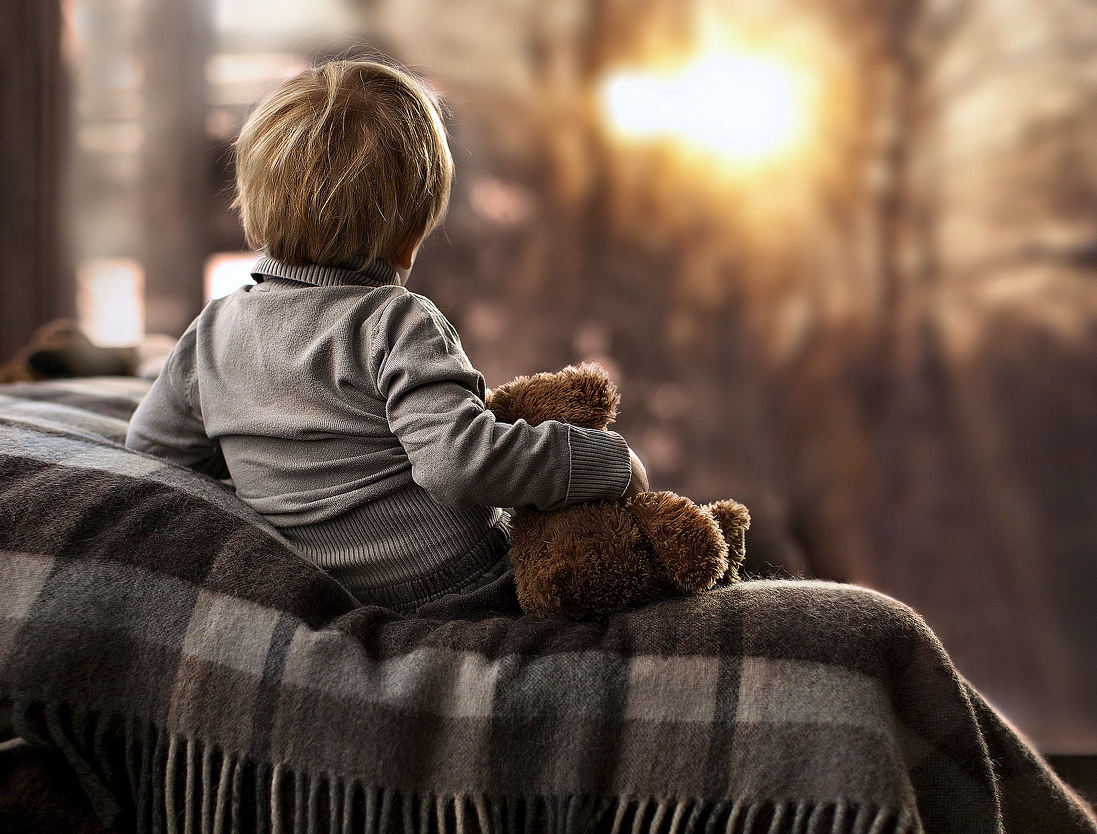 watching, childhood, window, 4K, nature, look, happy, bear, little, teddy, kids, children, sun, fun, joy, HD Wallpaper