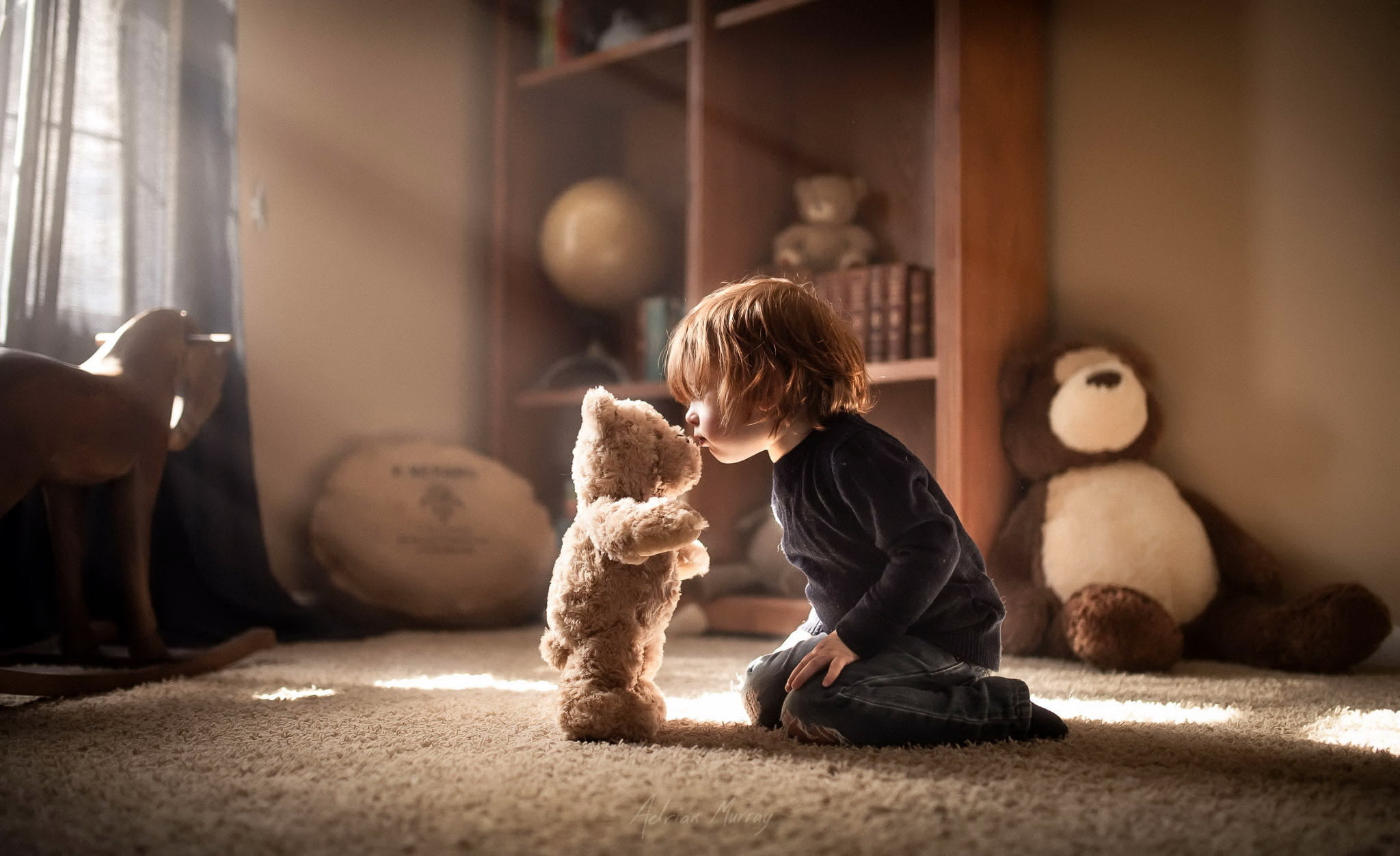 Teddy Bear, 1080P, Little Boy, Child, Sunbeam, Boy, Photography, Stuffed Animal, HD Wallpaper