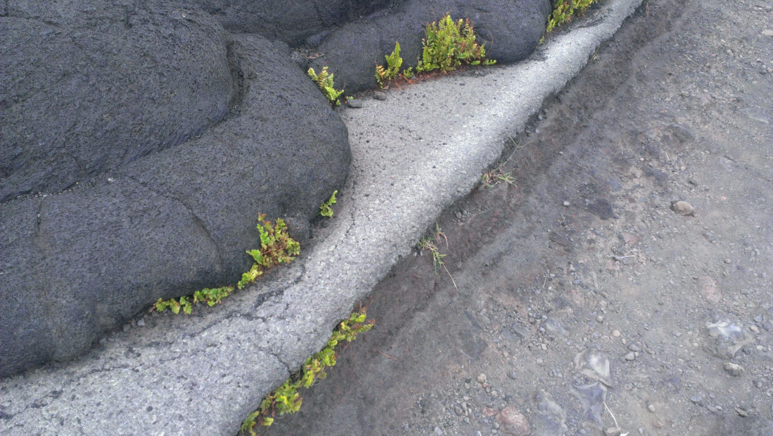 island of hawaii, concrete, hawaii, nature, footpath, high angle view, rock, plant part, day, plant, solid, cold, outdoors, asphalt, volcano, close-up, HD Wallpaper