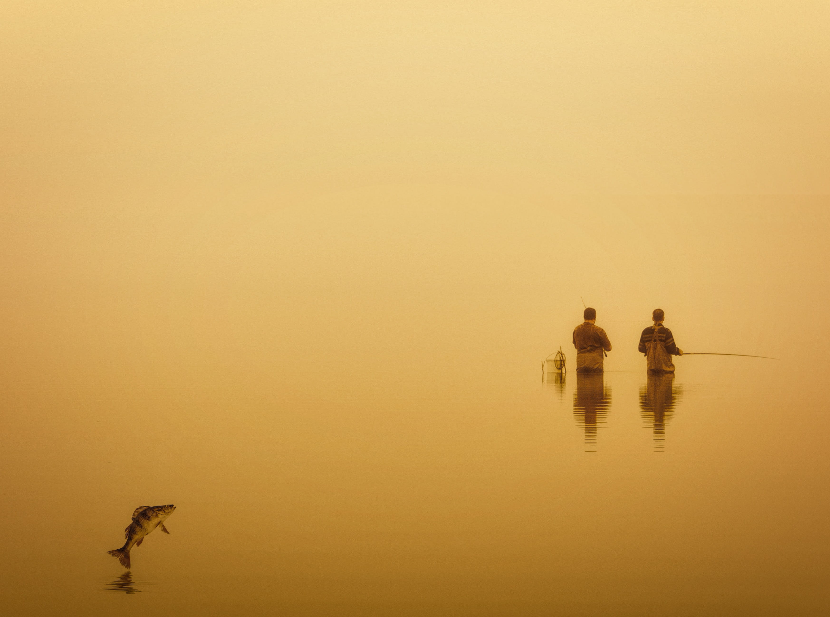 waterfront, lake, fishing, water, beauty in nature, 2K, sky, silhouette, fishing lines, men, copy space, reflection, fish, group of people, fog, humor, HD Wallpaper