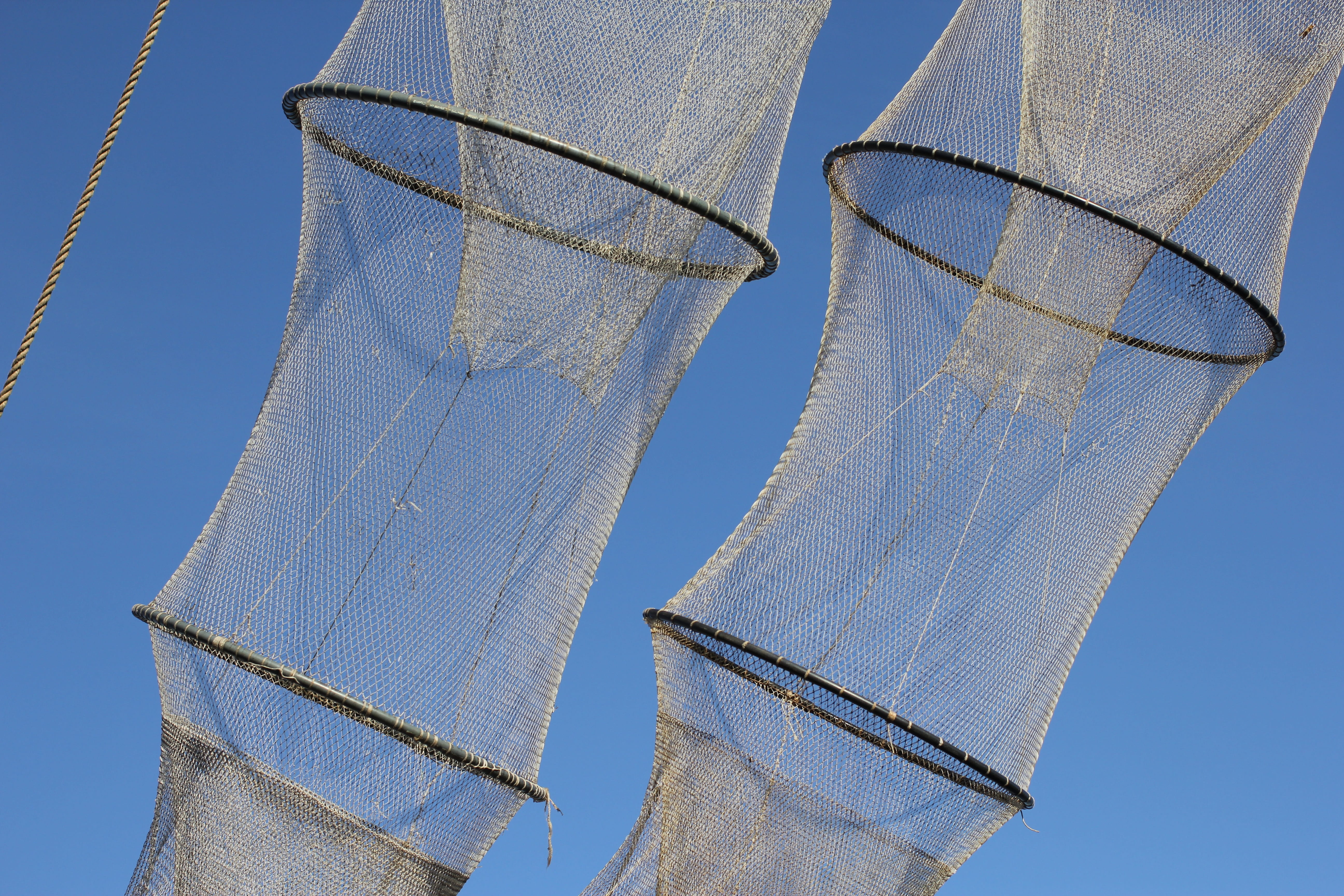blue, sport, built structure, nature, clear sky, fish, Fisheries, 5K, clothing, day, no people, close-up, blue background, outdoors, net - sports equipment, HD Wallpaper