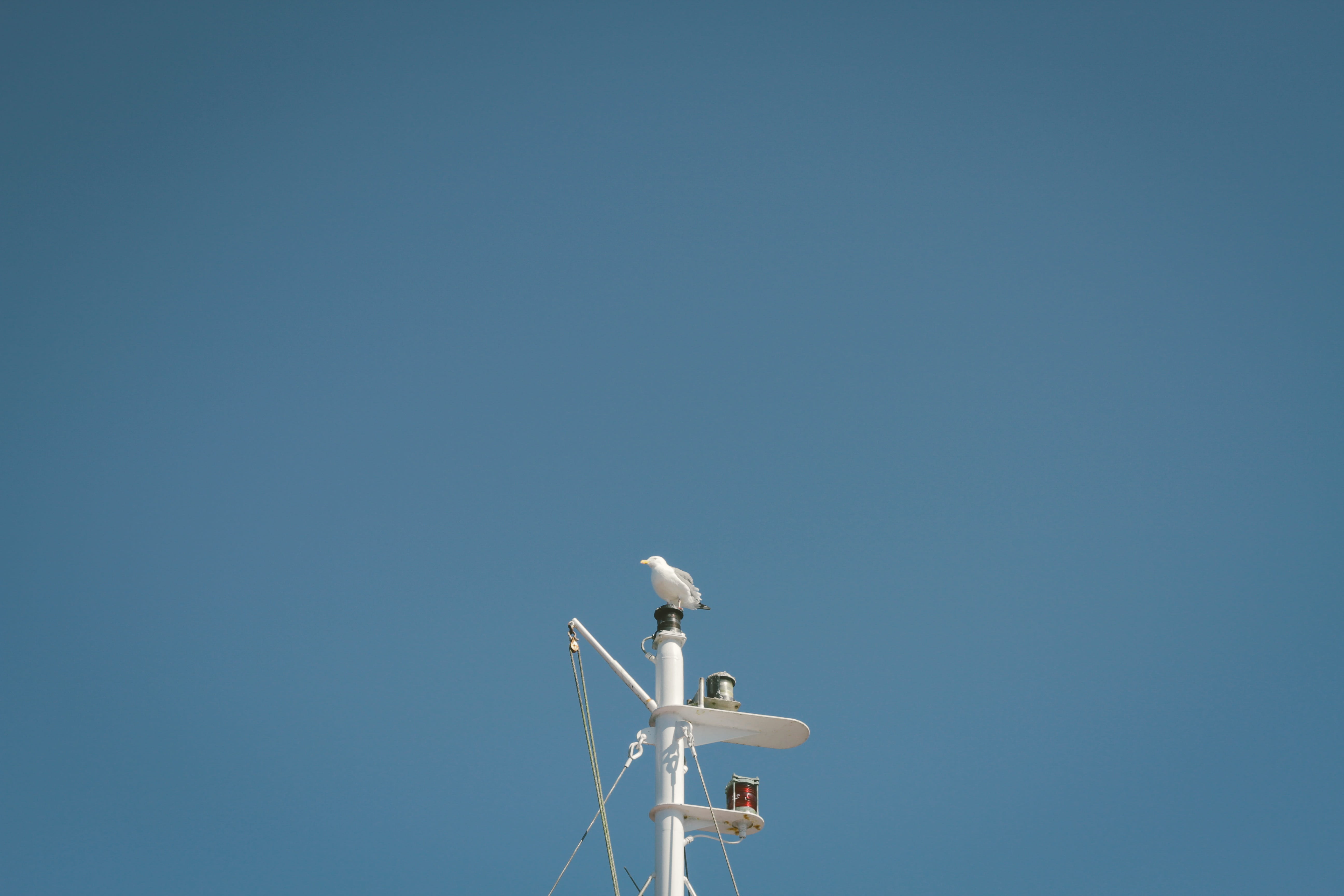 sea, broadcasting, copy space, sunny, sky, communication, wind turbine, technology, ship, day, perch, no people, seagull, wireless technology, nature, gull, HD Wallpaper