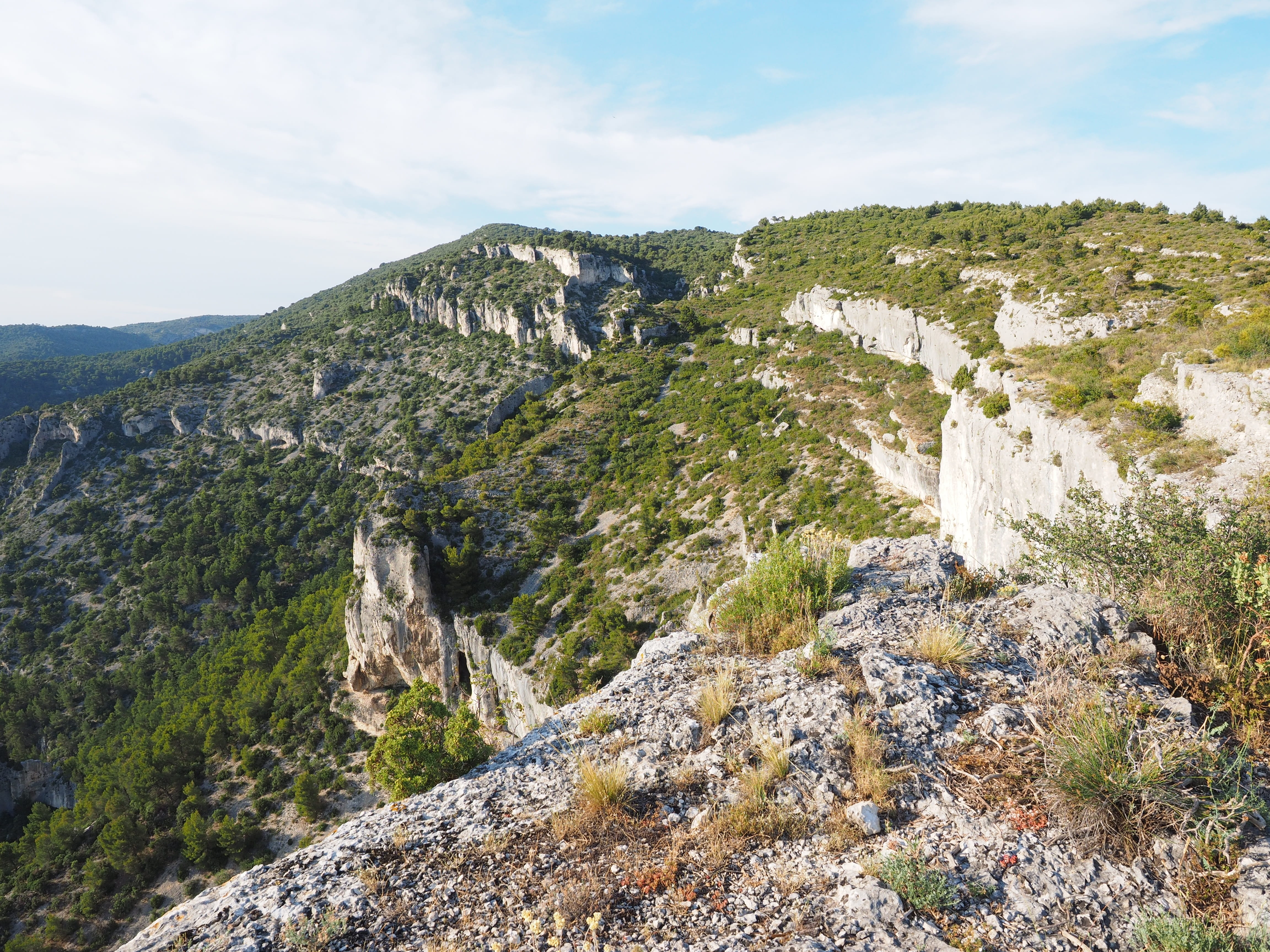 Area, tree, outdoors, solid, nature, formation, environment, fontaine-de-vaucluse, plant, karst area, rock - object, 4K, karst, rock formation, landscape, HD Wallpaper