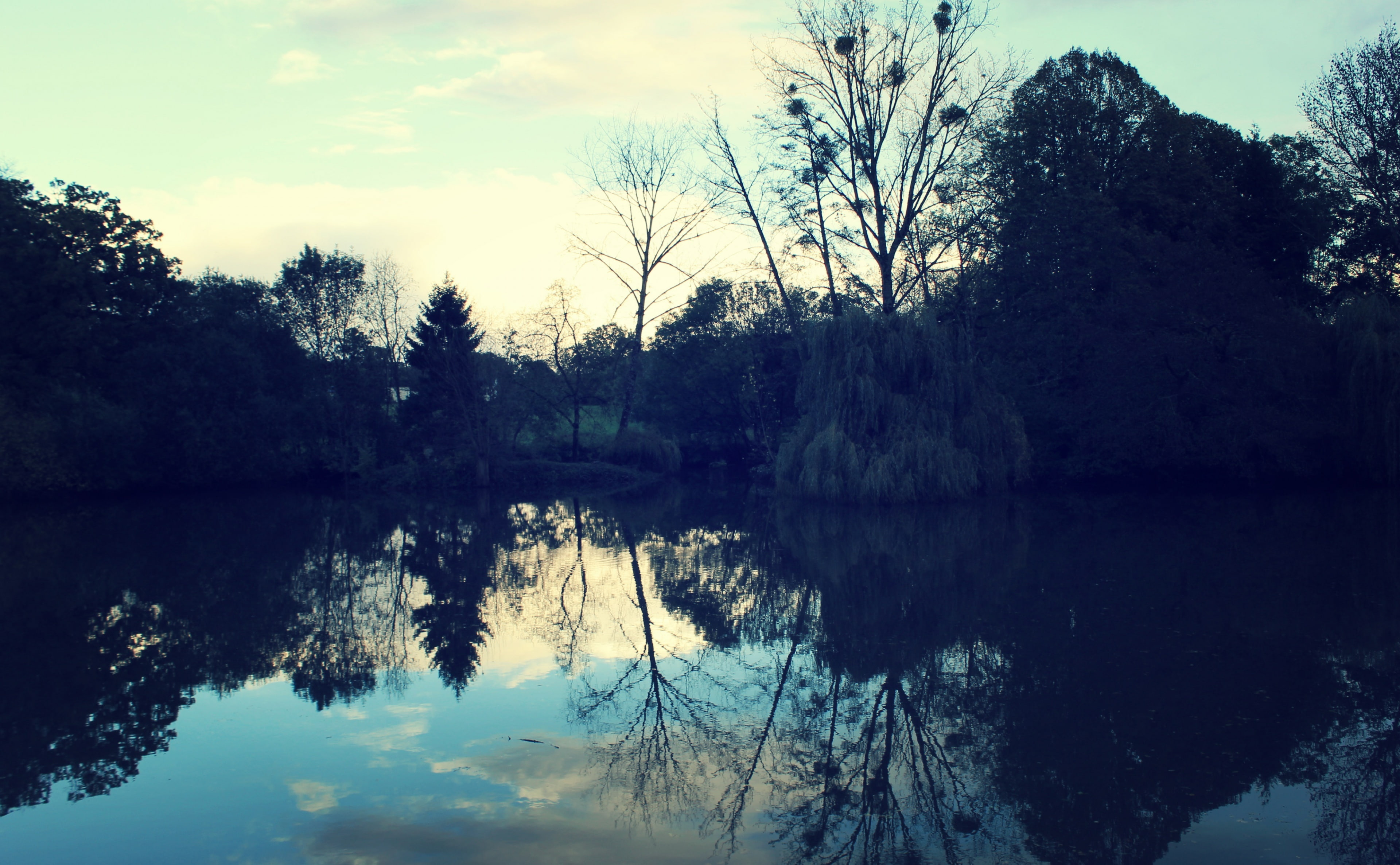 water, tree, reflection lake, growth, beauty in nature, symmetry, tranquil scene, non-urban scene, sky, day, Trees, body, Bluish, idyllic, plant, Nature, HD Wallpaper