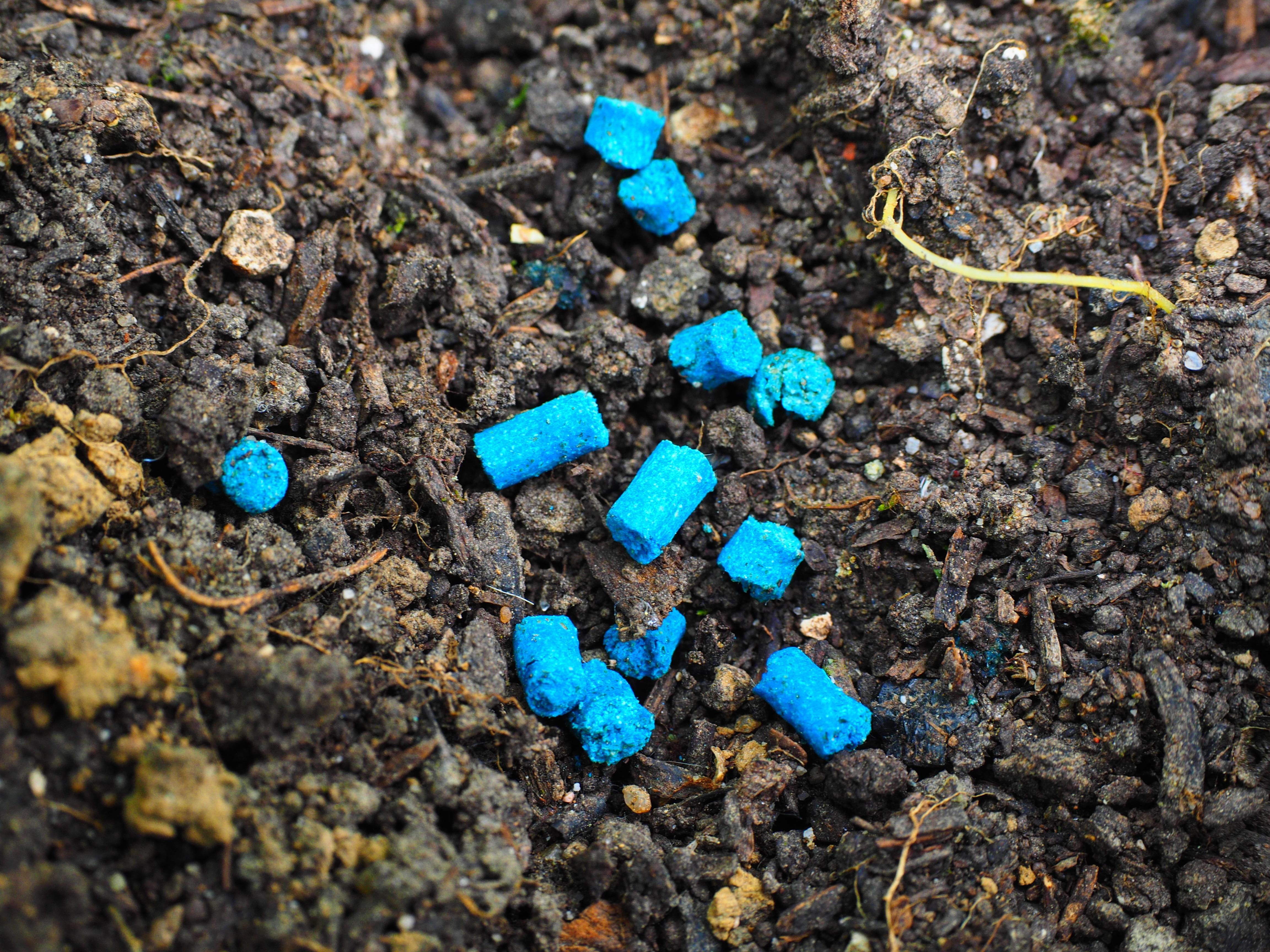 snail poison, close-up, earth, turquoise colored, field, high angle view, land, blue, focus on foreground, environmental issues, still life, day, caution, HD Wallpaper