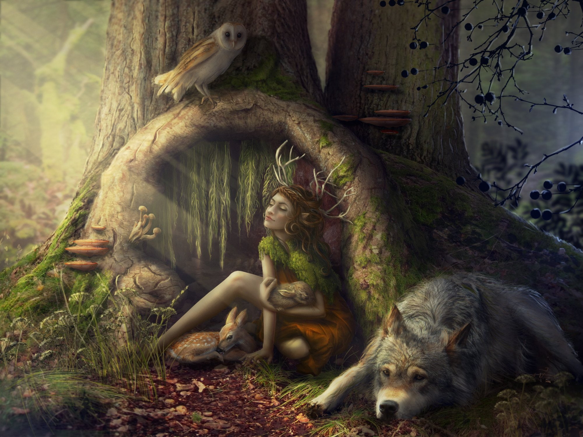 fairy, fantasy, Fantastic, Girls, wolves, wolf, Deer, 1080P, forest, world, HD Wallpaper