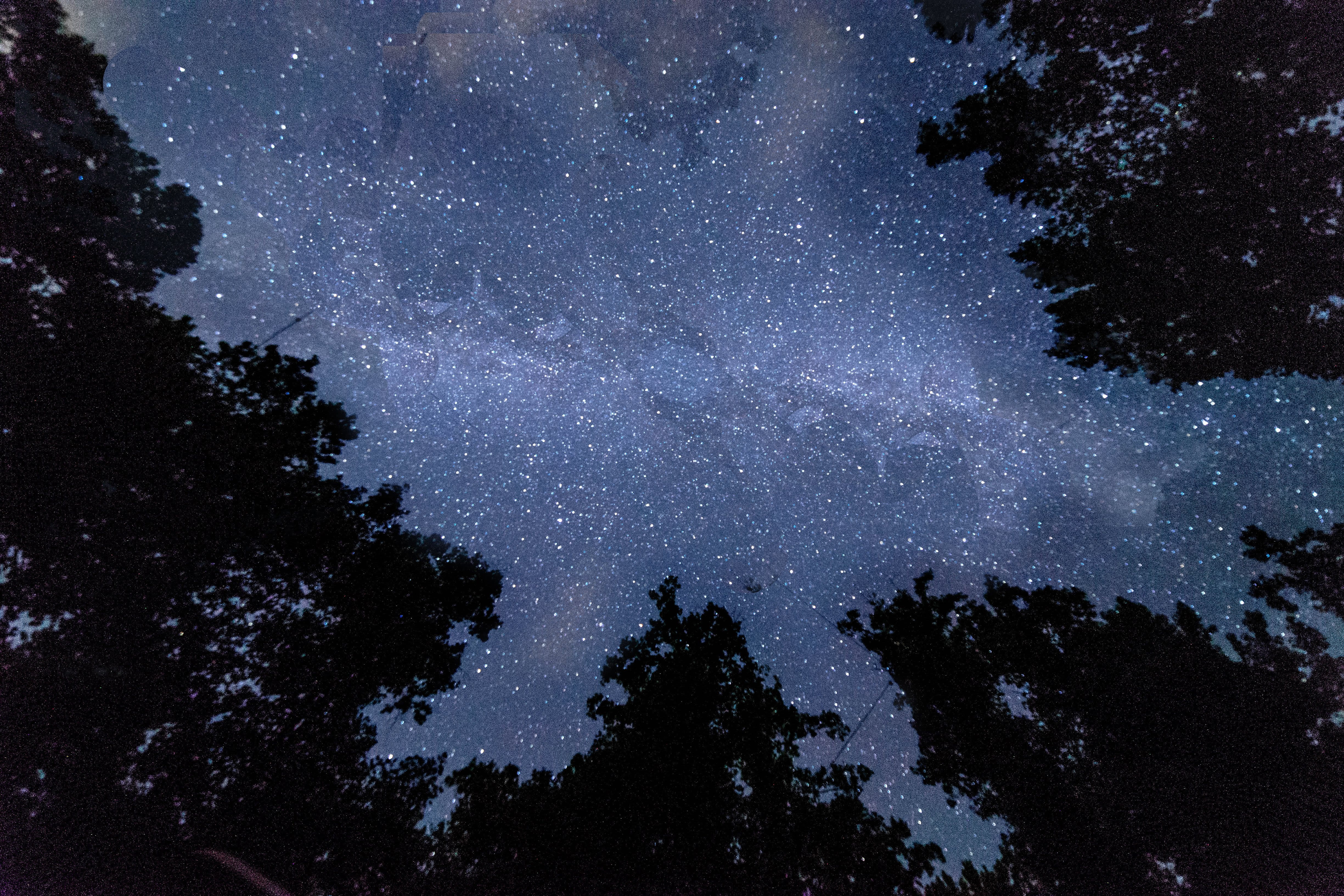 space and astronomy, jasper, tranquil scene, tree, universe, milky way, no people, star - space, space, nebula, outdoors, astronomy, scenics - nature, 4K, HD Wallpaper