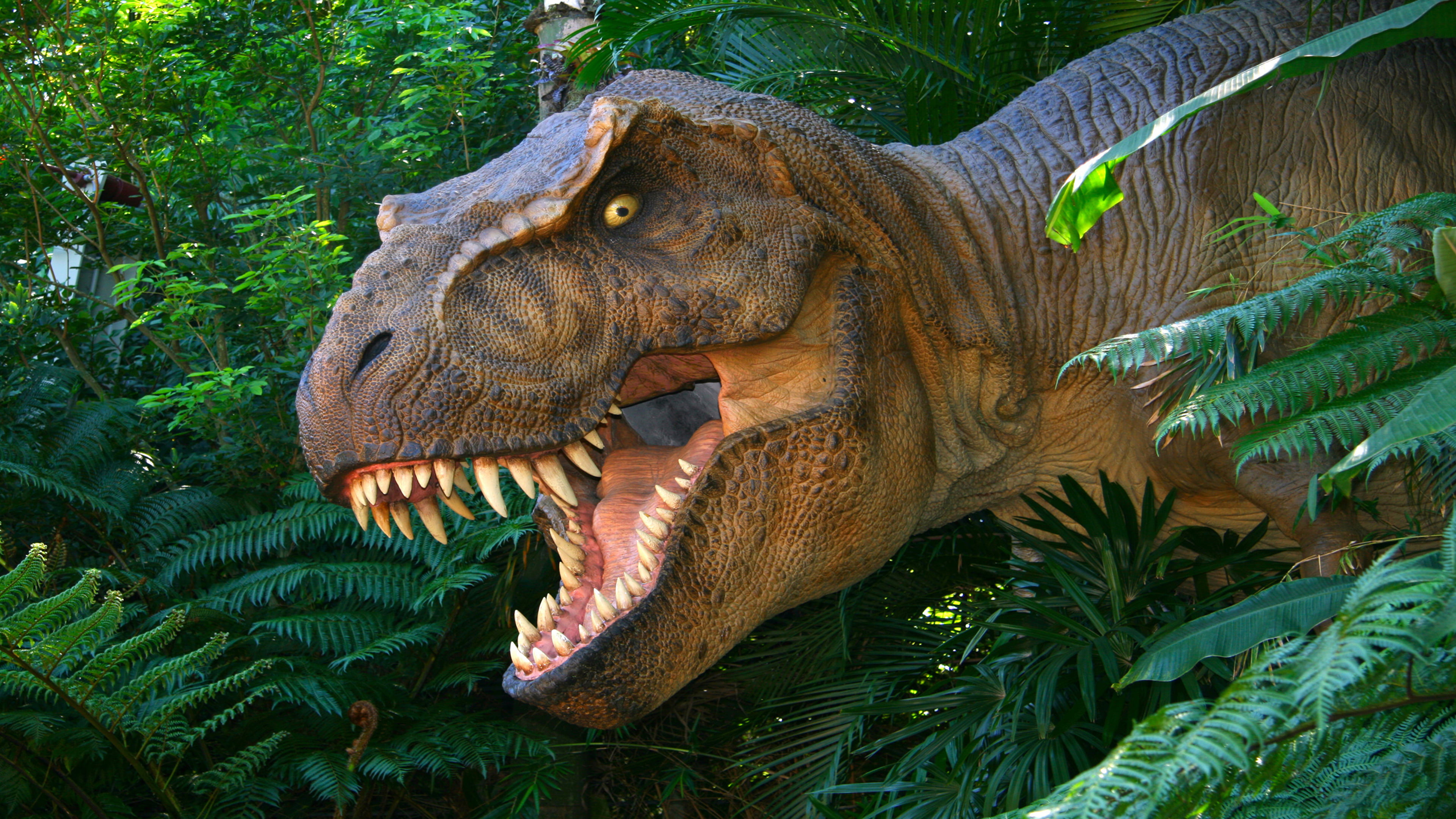 aggression, nature, hd, rex, no people, animal head, mouth open, animals in the wild, animal mouth, past, lost, outdoors, plant, animal body part, HD Wallpaper