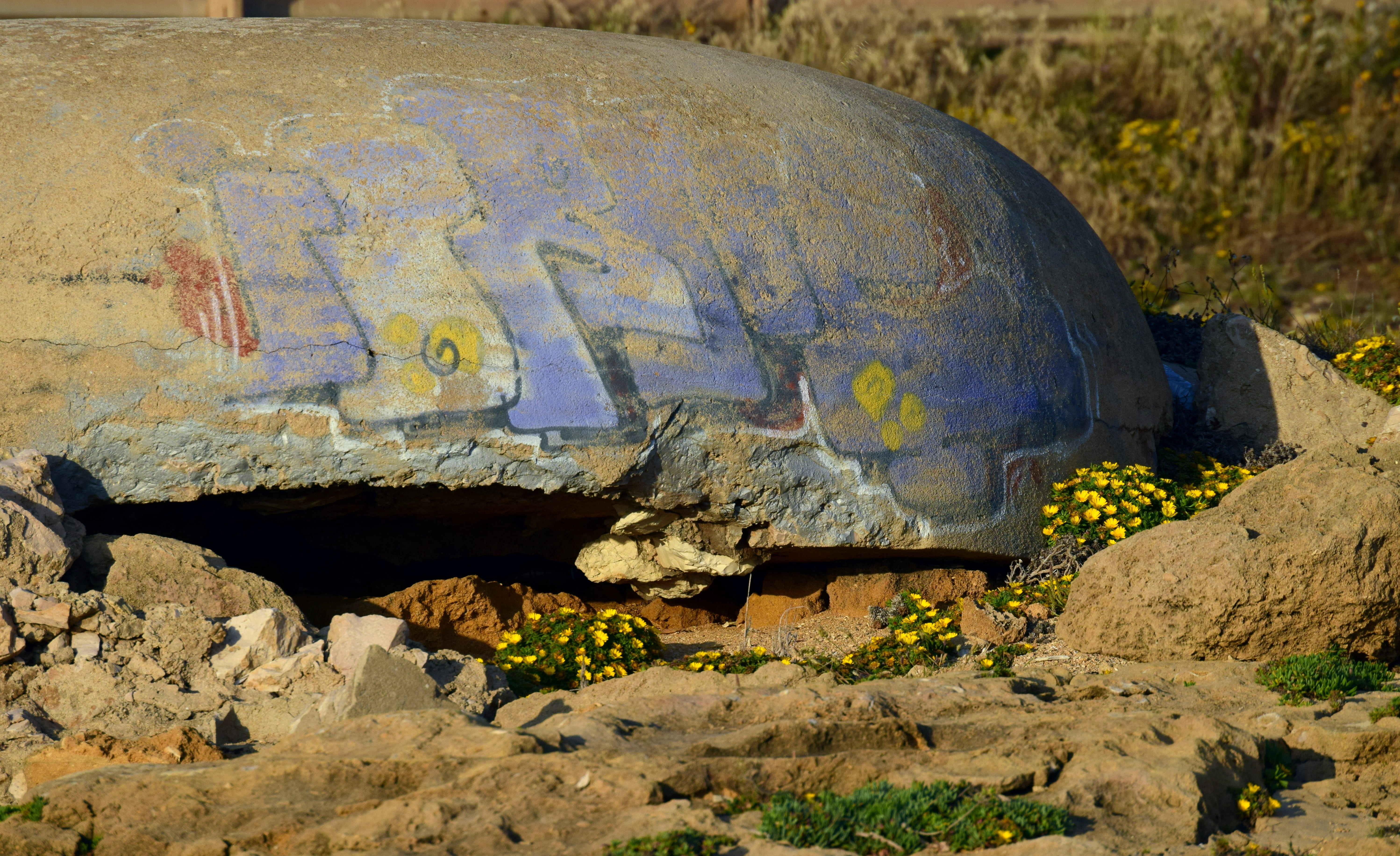 day, commemorate, communication, lost places, old, graffiti, rusty, transportation, war, bunker, hide, sign, ancient, protection, field, no people, turtle, HD Wallpaper