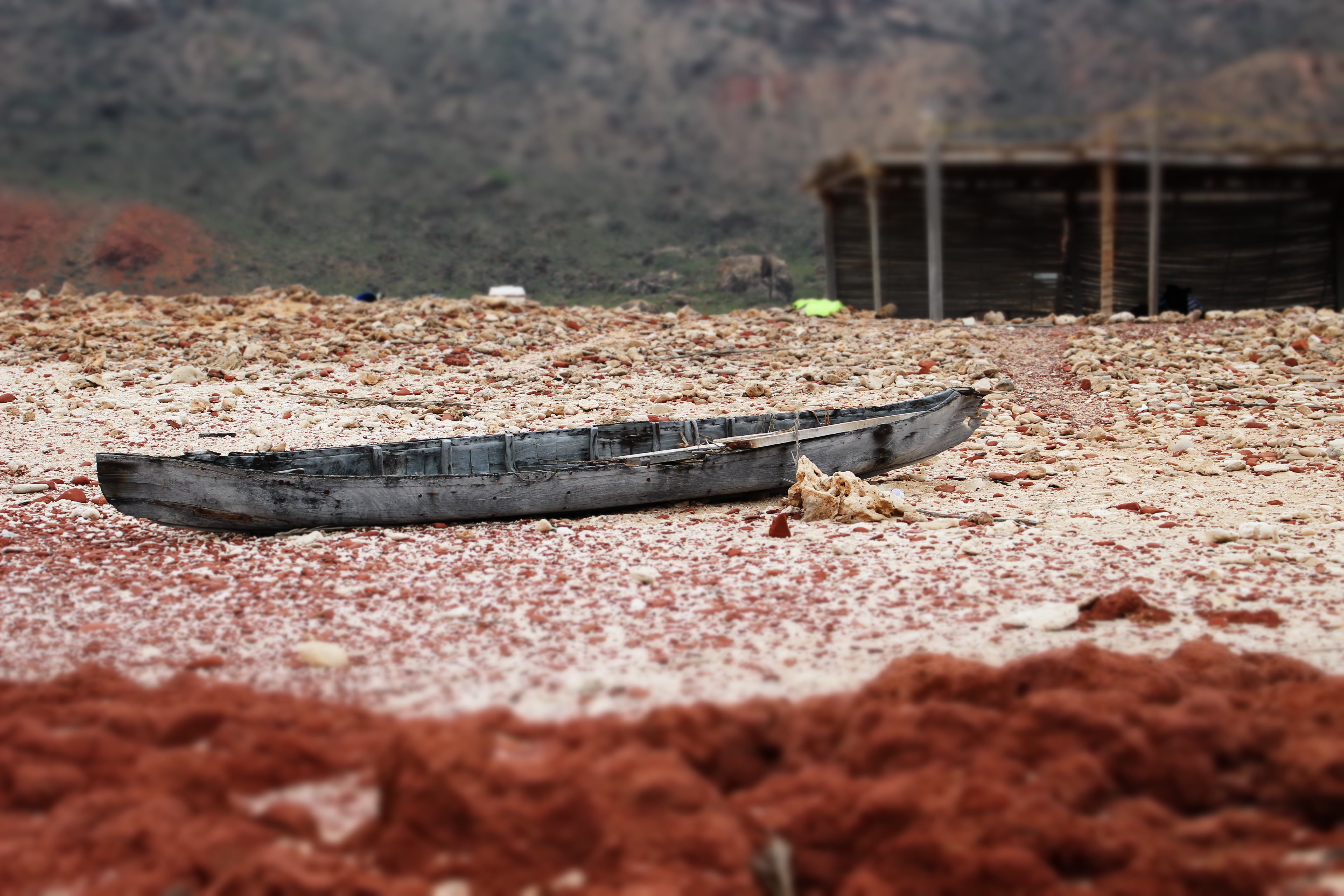 moored, socotra, abandoned, beach, yemen, land, nautical vessel, 5K, sand, red, leaf, transportation, nature, water, no people, day, sunlight, focus on background, HD Wallpaper