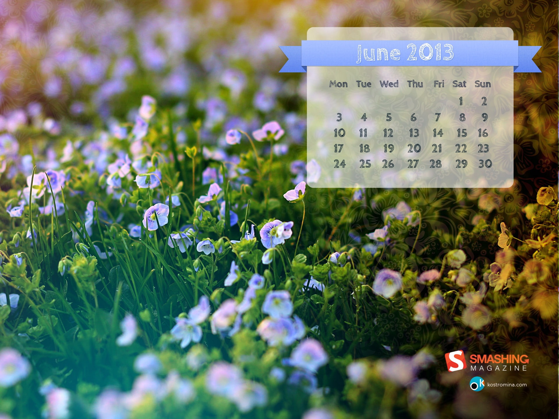 outdoors, no people, 1080P, flowering plant, plant, sign, flower, vulnerability, beauty in nature, communication, calendar, freshness, text, HD Wallpaper