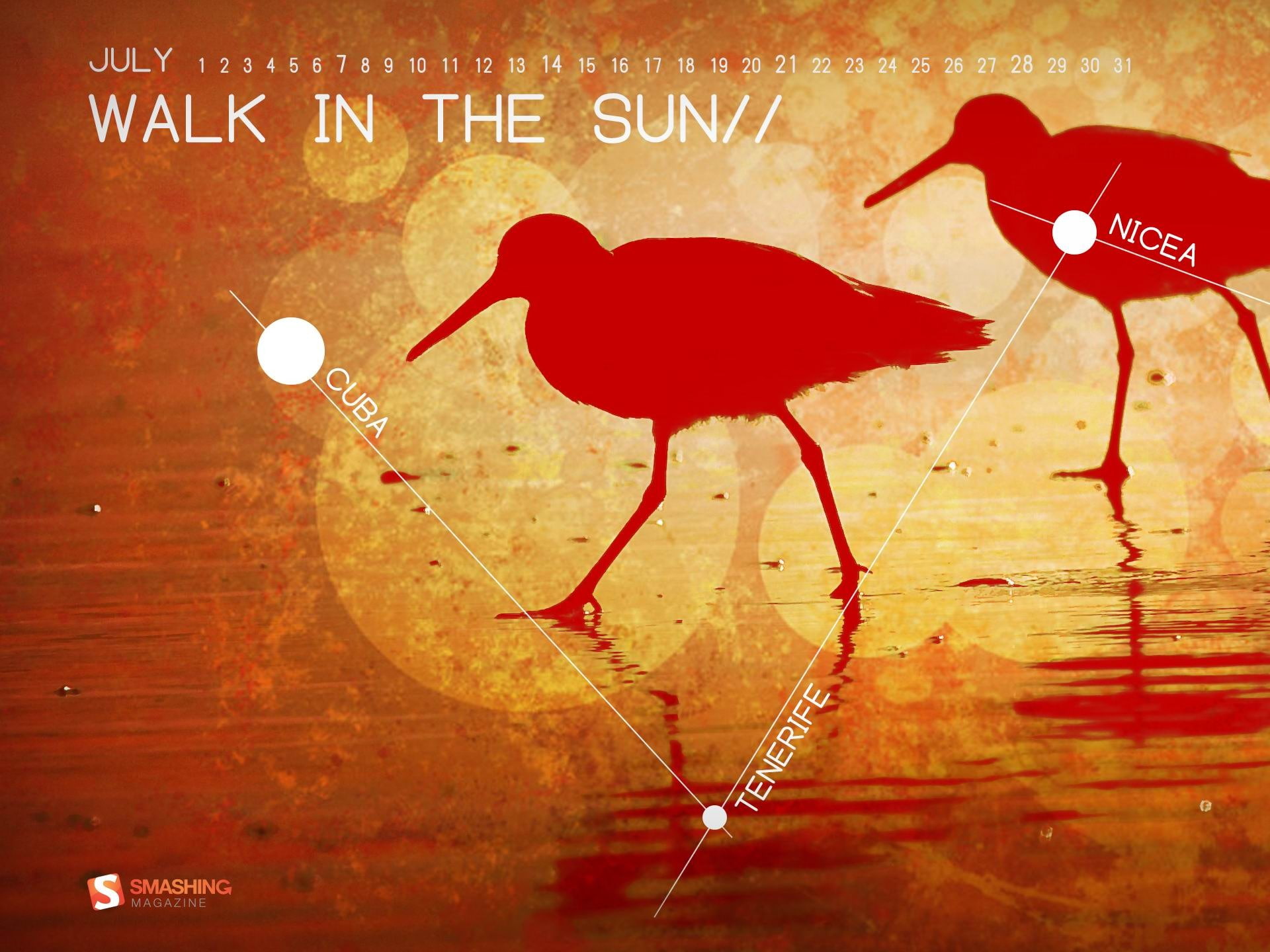 aggression, full length, red, no people, wallpap, sun, walk, animal themes, poster, outdoors, nature, animals in the wild, text, group of animals, vertebrate, HD Wallpaper