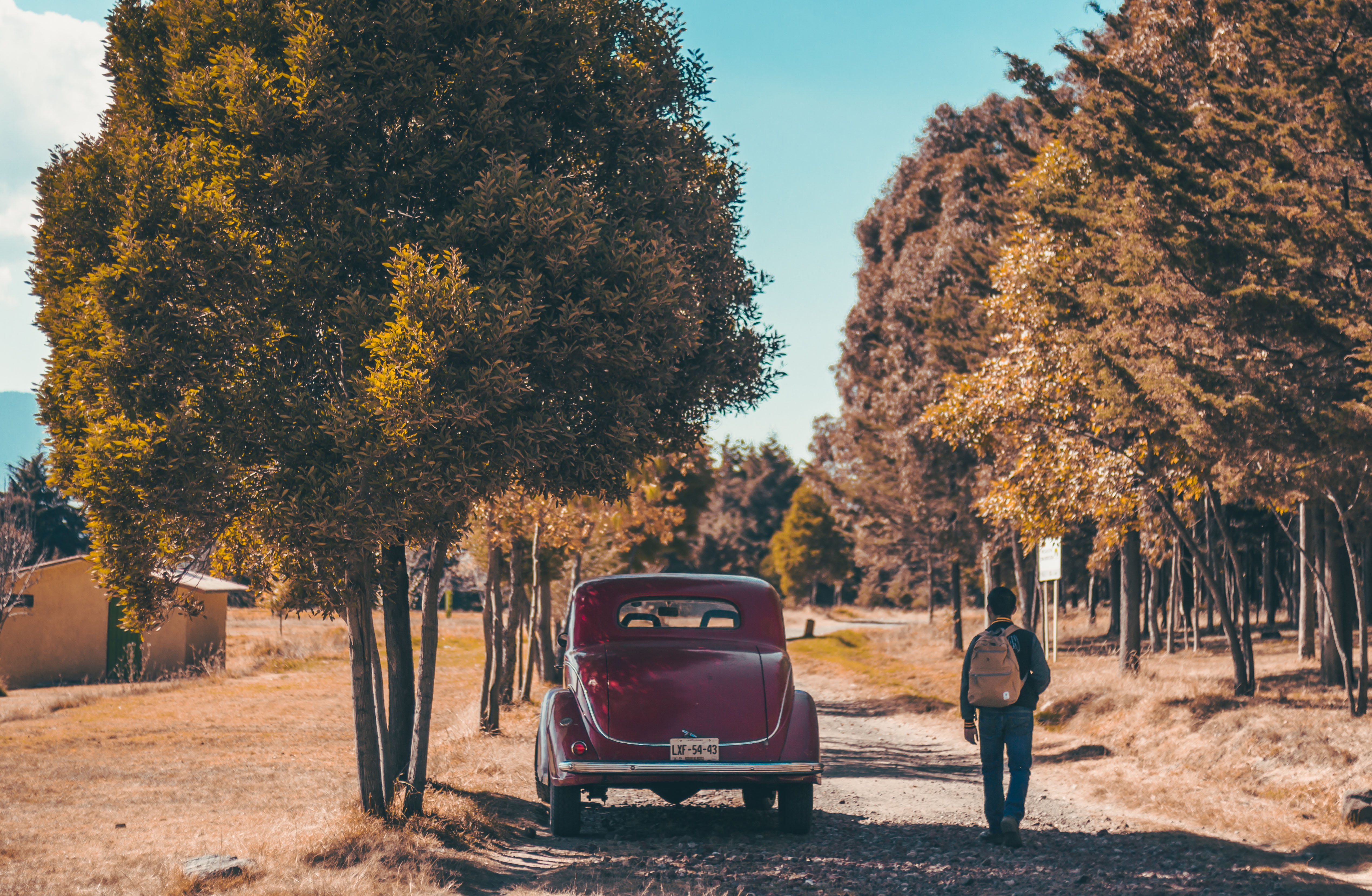4K, sunlight, near, autumn, people, man, sky, leisure activity, outdoors, change, person, land, day, car, real people, mode of transportation, old-fashioned, HD Wallpaper