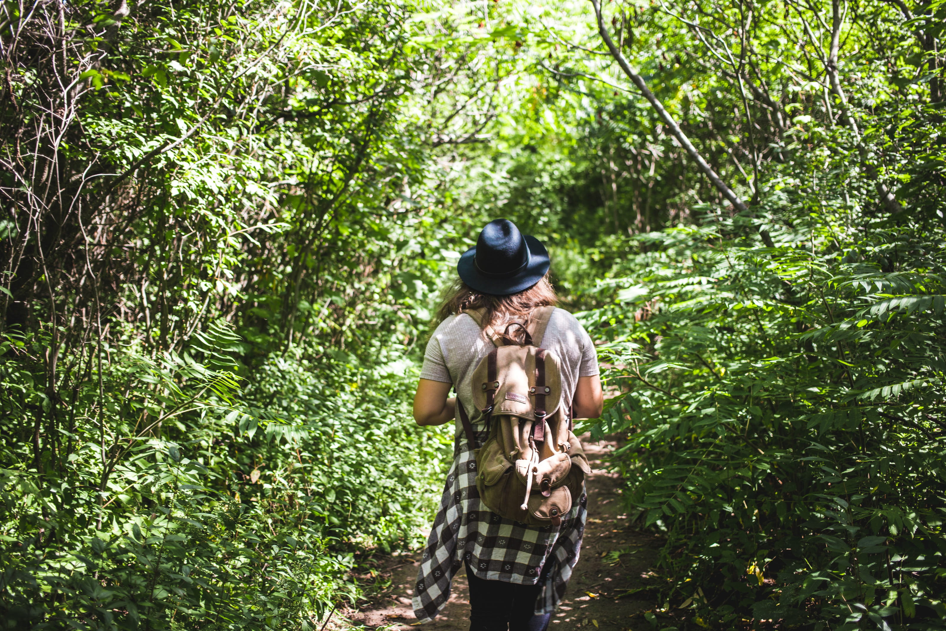 healthy, outdoor, Woods, explorer, lifestyle, plant, Young, Hat, travelers, lifestyles, outdoors, View, person, 2K, walk, Green, woodland, standing, female, HD Wallpaper