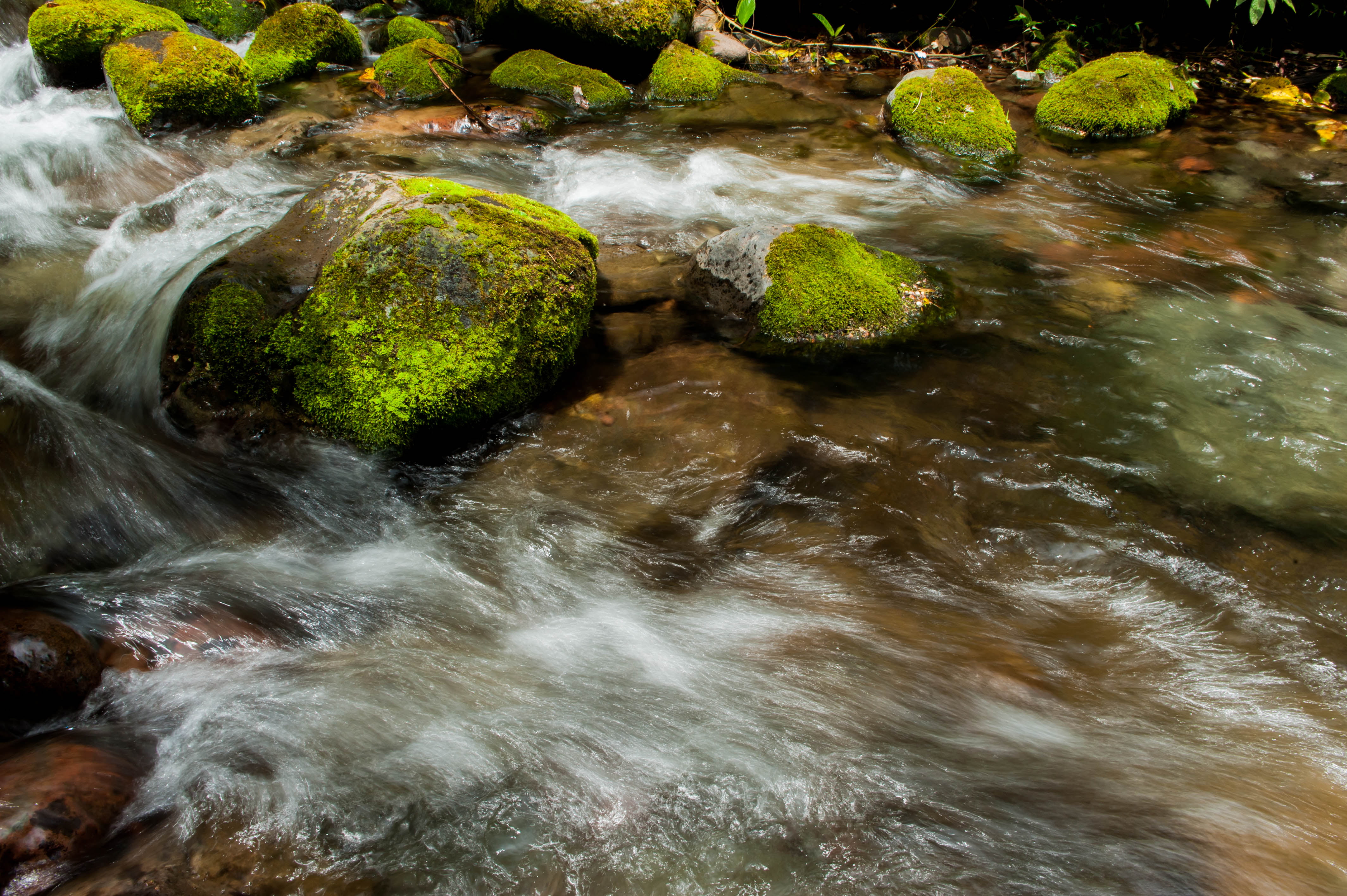 bukidnon, body, river, water, tree, landscape, nature, DSC, philippines, jpg, green Color, outdoors, wet, forest, mindanao, body of water, freshness, 4K, HD Wallpaper