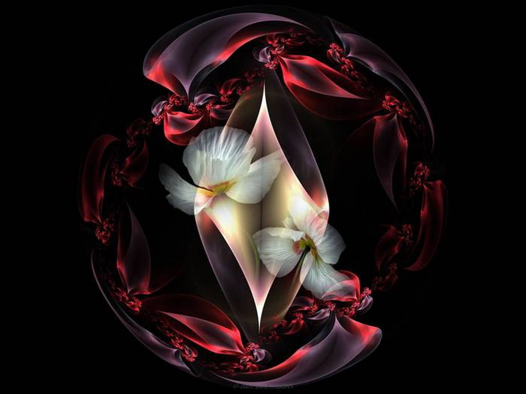 hd, d, circle, globe, Flowers, 3D, Abstract, art, lovers, duet, cg, 480P, HD Wallpaper