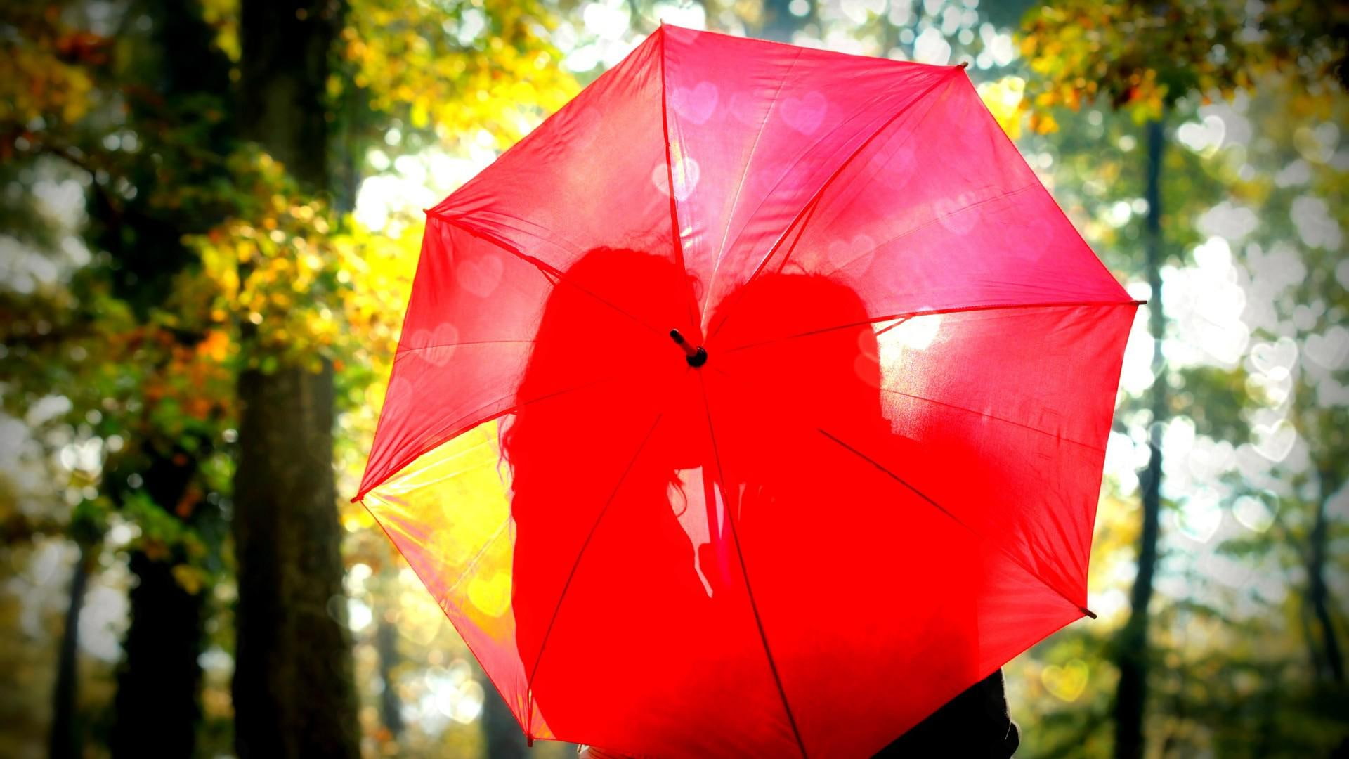 lovers, 1080P, desktop, red, umbrella, kiss, forest, red umbrella, HD Wallpaper