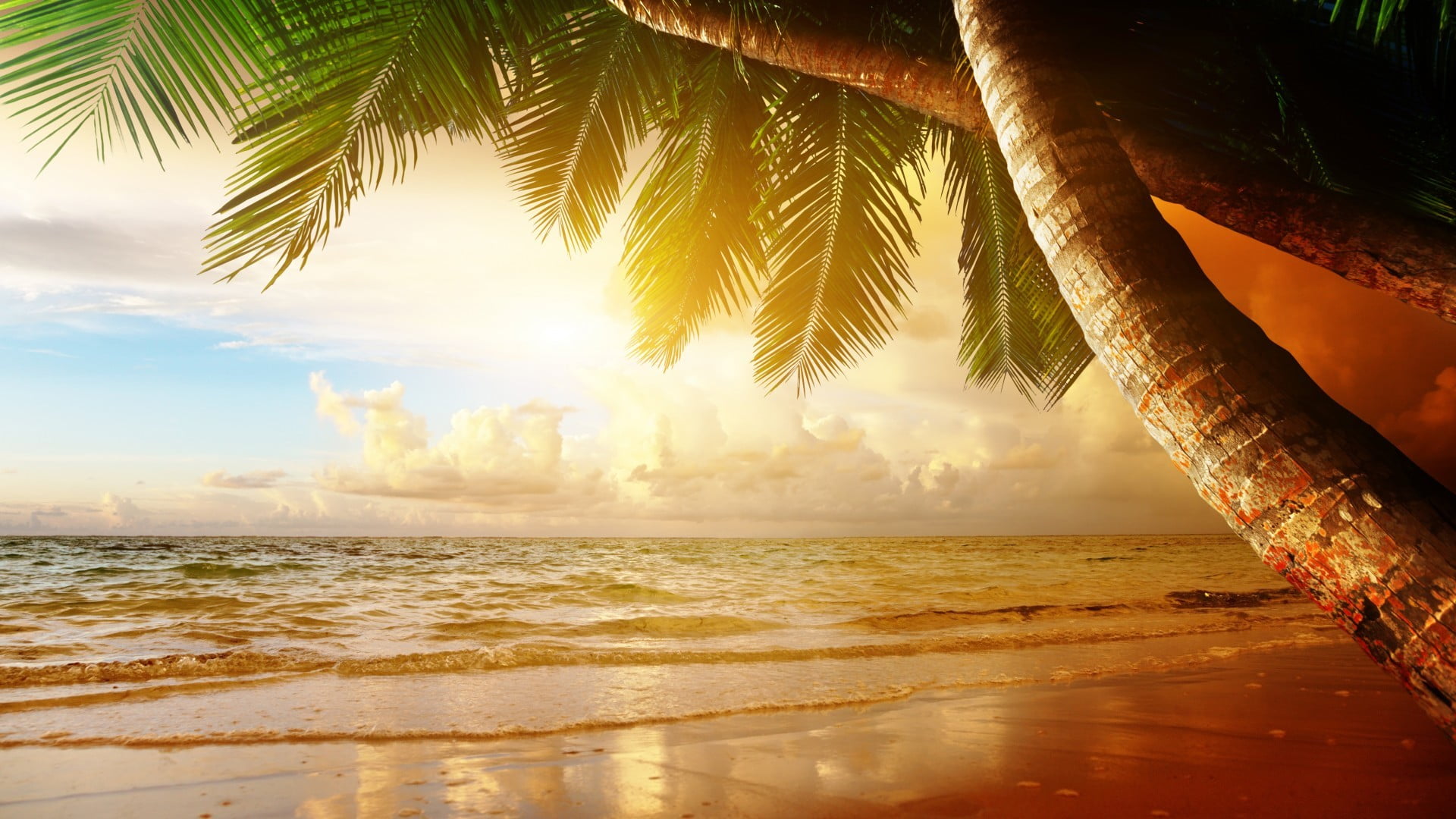 cloud - sky, tranquility, tropical climate, green, land, sea, tranquil scene, palm tree, nature, horizon over water, beauty in nature, landscape, scenics - nature, HD Wallpaper