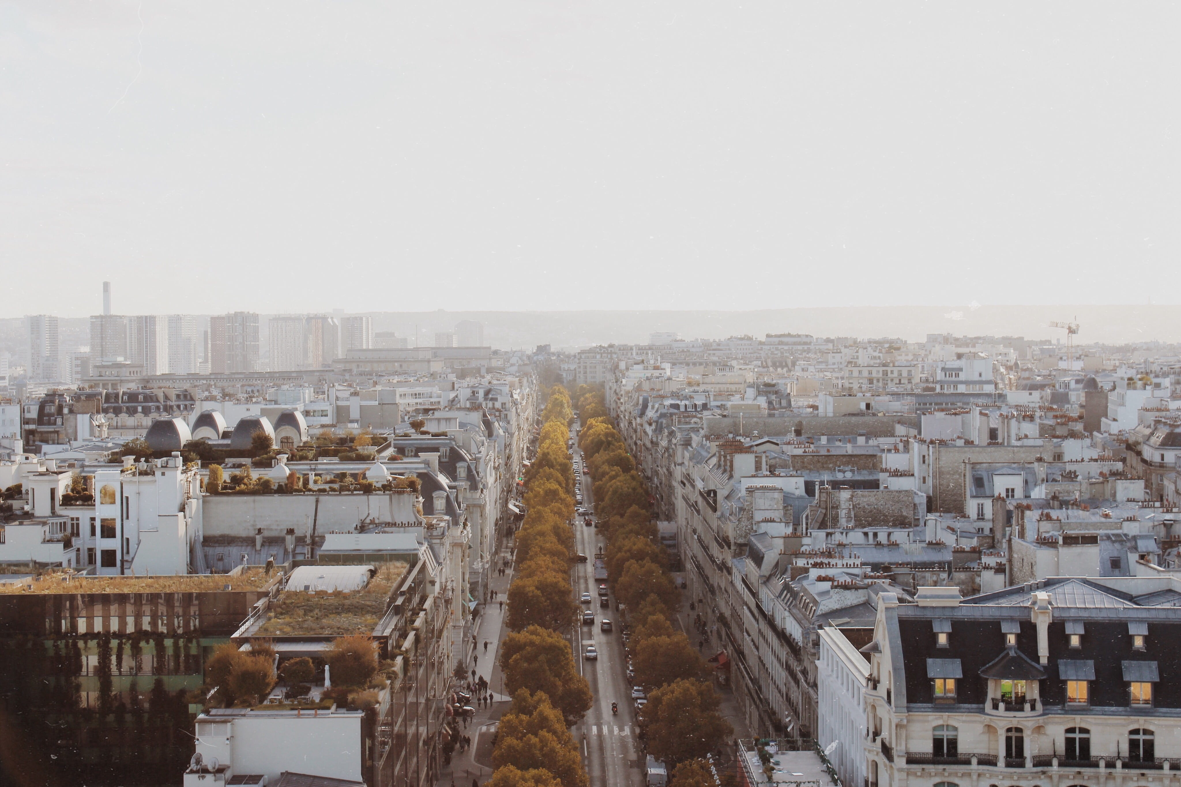#height, no people, #overexposed, looking down, road, #tree, #paris, s, travel, travel destinations, copy space, sky, high, 4K, eye, settlement, photo, HD Wallpaper
