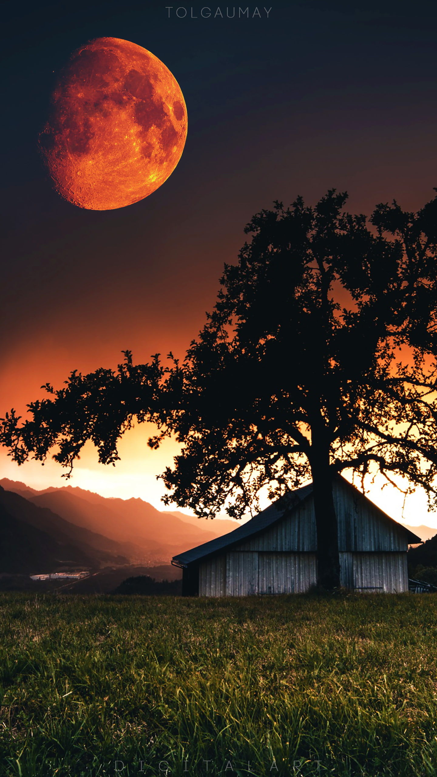 digital composite, plant, eclipse, astronomy, tranquility, nature, tranquil scene, landscape, outdoors, moonlight, Blood moon, 2K, no people, sky, orange color, Phone HD Wallpaper