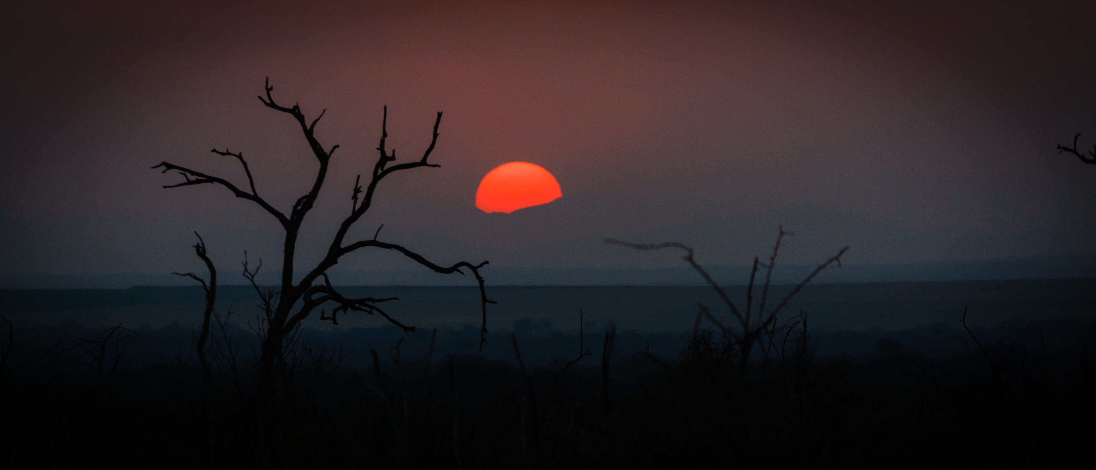 nature, trunk, sky, beauty in nature, dusk, africa, two, land, scenics - nature, bare tree, silhouette, natural, panoramic, no people, environment, tranquil scene, HD Wallpaper