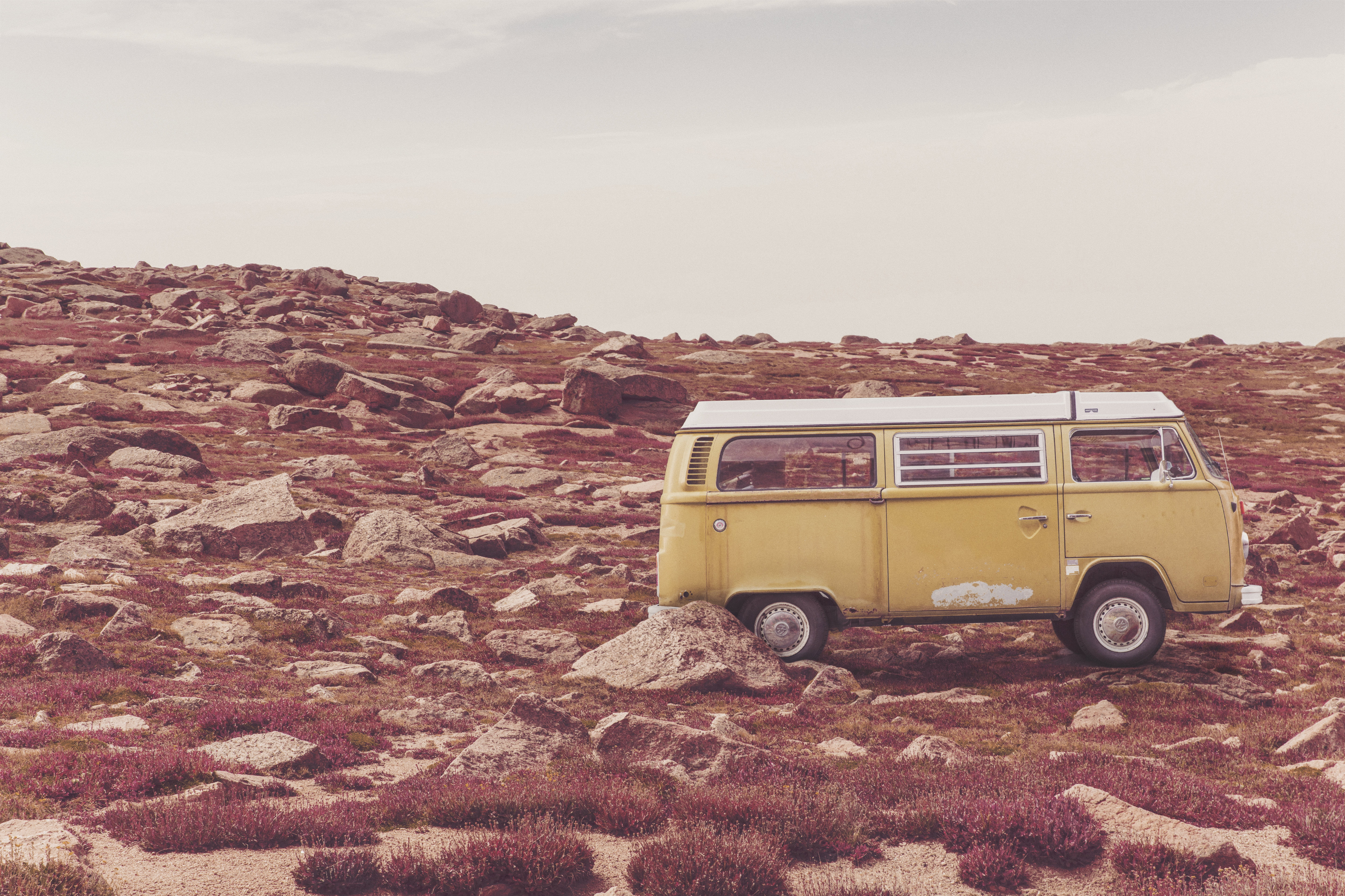 grass, desert, antique, mode of Transport, outdoors, people, 4x4, transportation, people Traveling, vacations, landscape, no people, bus, old, mode of transportation, HD Wallpaper