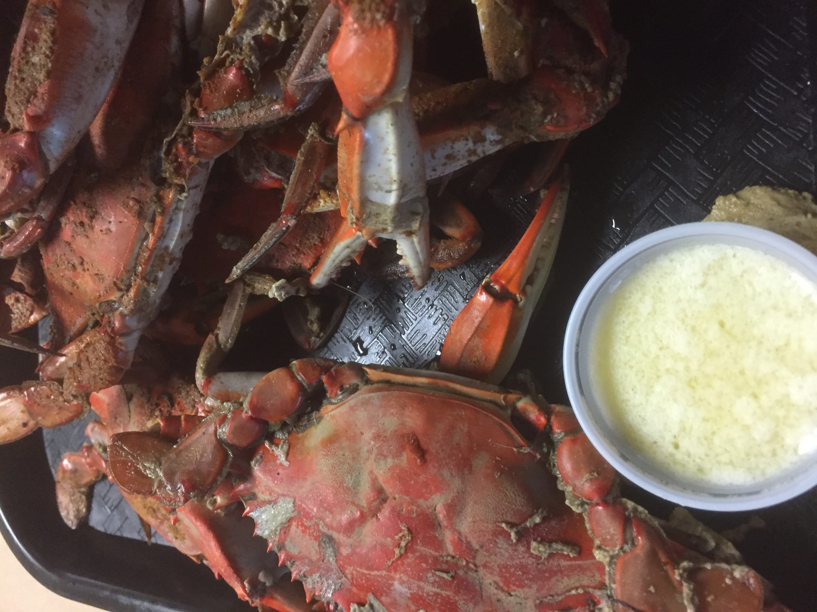 table, high angle view, blue crabs, us s41 @ nippino trl sb nokomis, food and drink, day, ready-to-eat, plate, crustacean, indoors, food, steamed, no people, HD Wallpaper