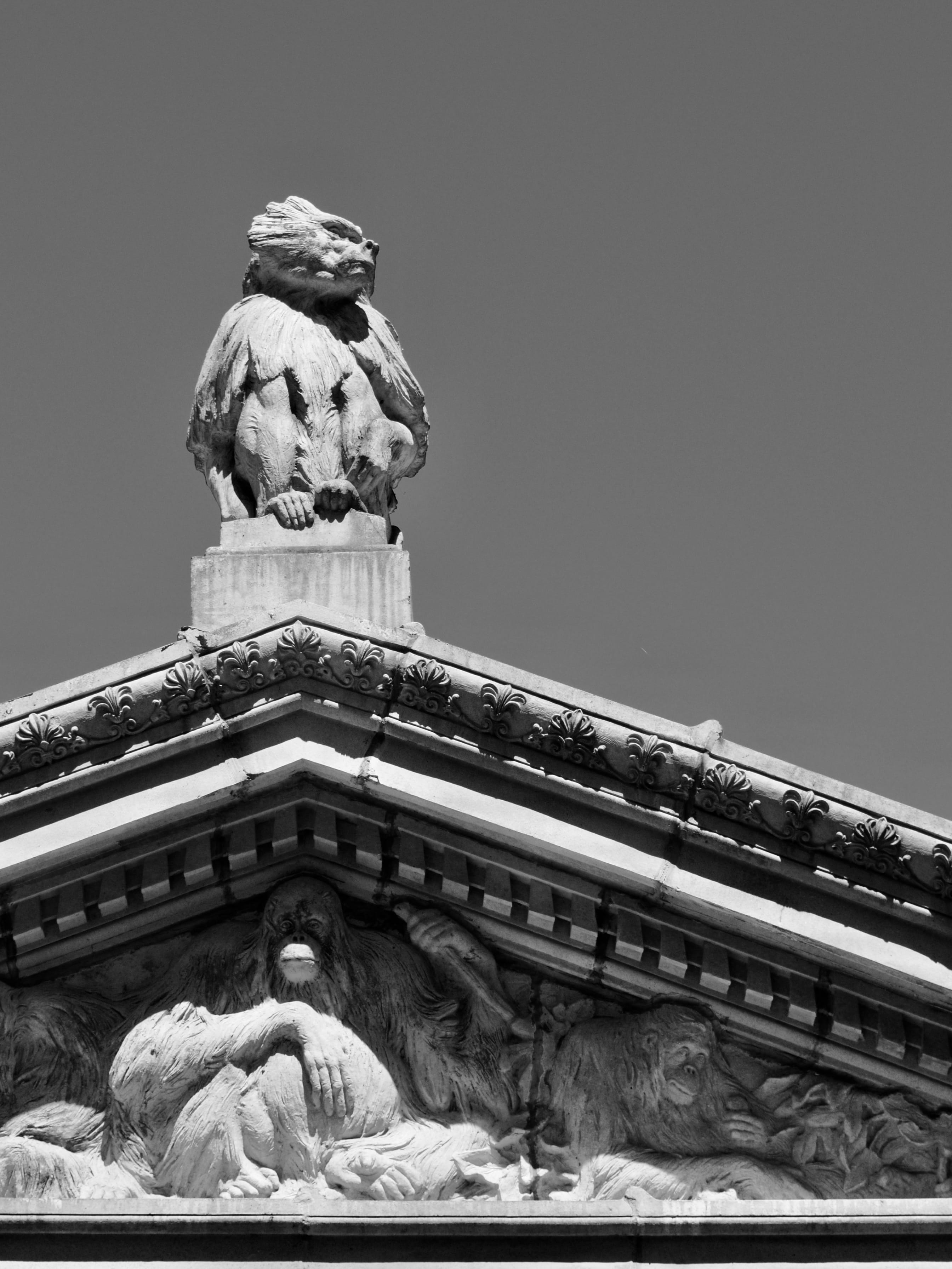 building, usa, mammal, art, craft, new york, male likeness, sky, travel destinations, gorilla, low angle view, monument, female likeness, clear sky, monkey, Phone HD Wallpaper
