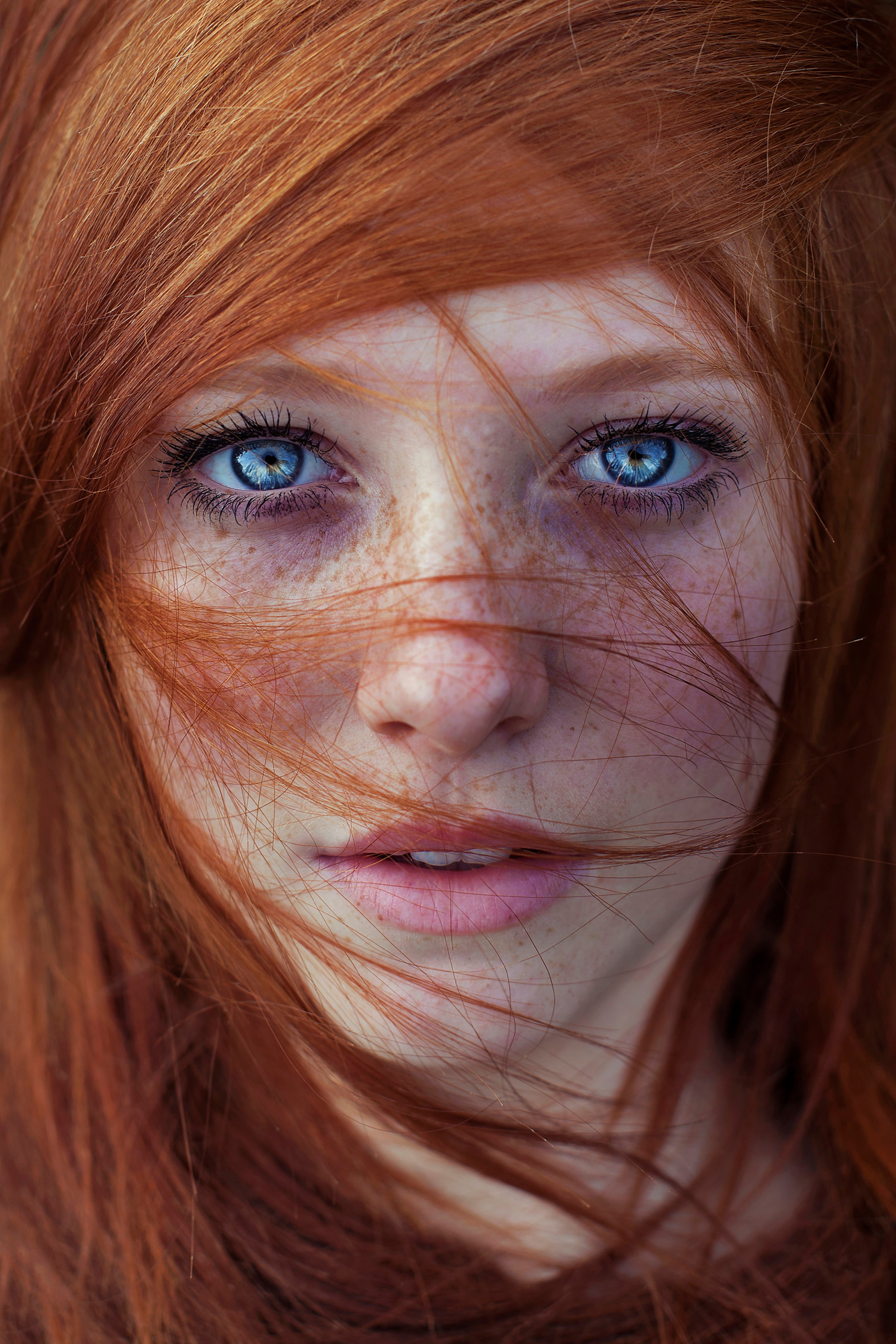 human hair, blue eyes, beautiful woman, hair, freckles, hairstyle, headshot, close-up, front view, portrait, human body part, portrait display, redhead, Phone HD Wallpaper