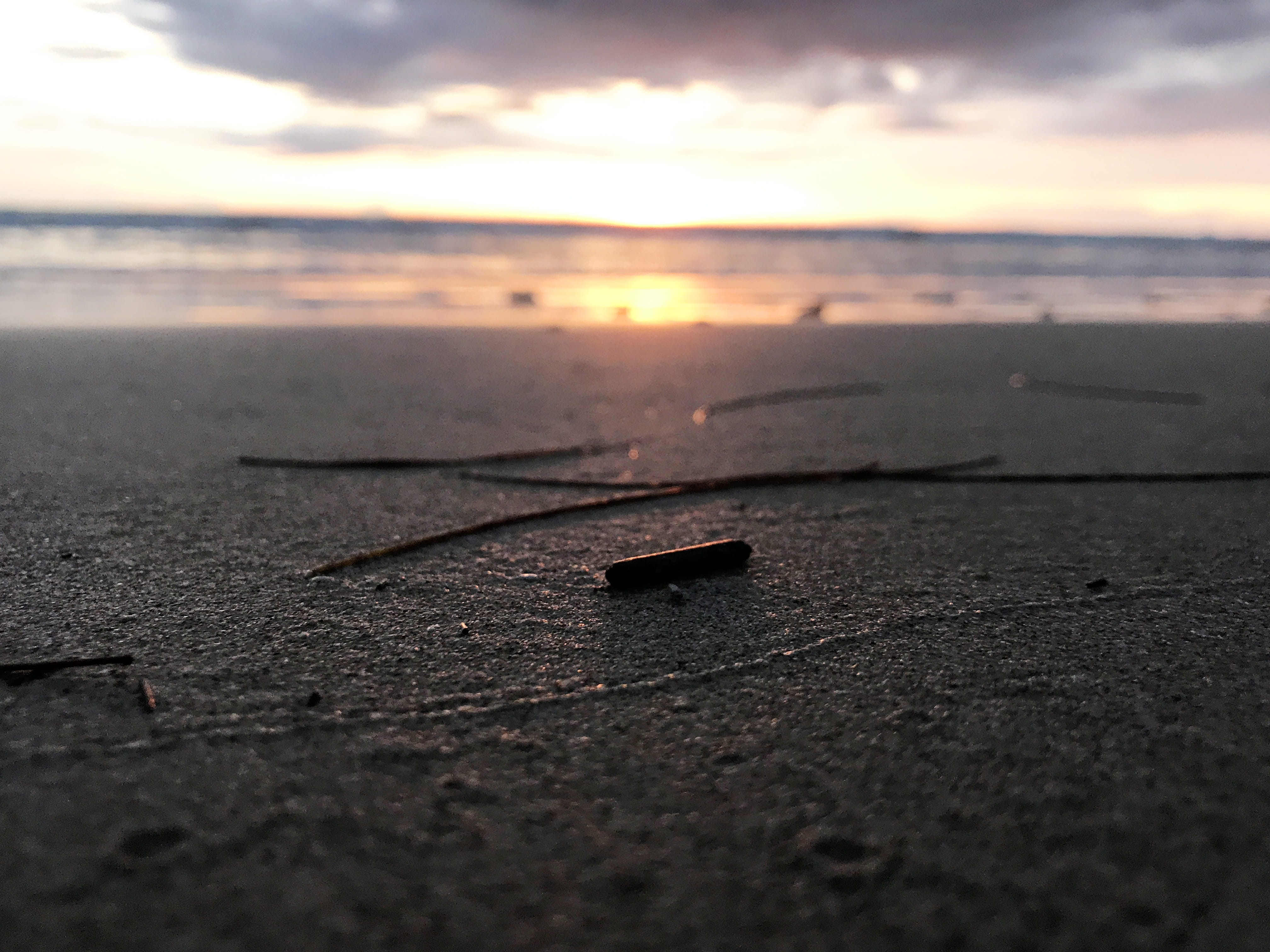 sky, sea, cloud - sky, 4K, selective focus, deadwood, land, beauty in nature, sand, scenics - nature, outdoors, horizon, horizon over water, nature, no people, HD Wallpaper