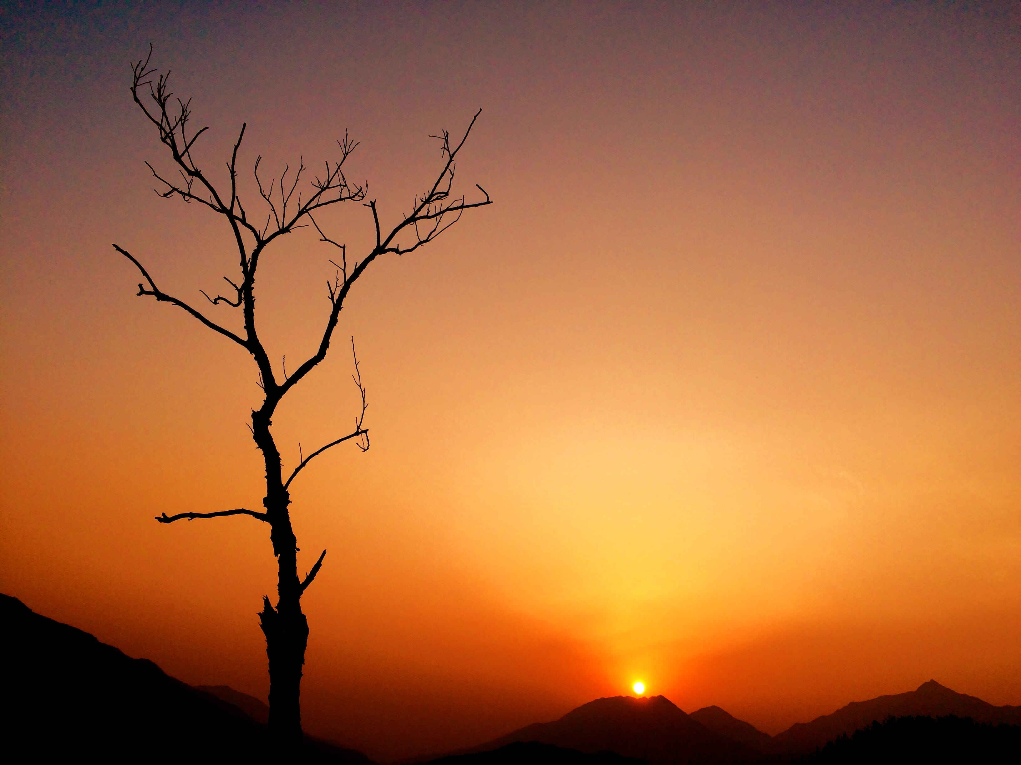 sky, Mountain, scenics - nature, sunset, Sunrise, tree, outdoors, tranquility, Deadwood, branch, 2K, silhouette, orange color, no people, sun, landscape, HD Wallpaper